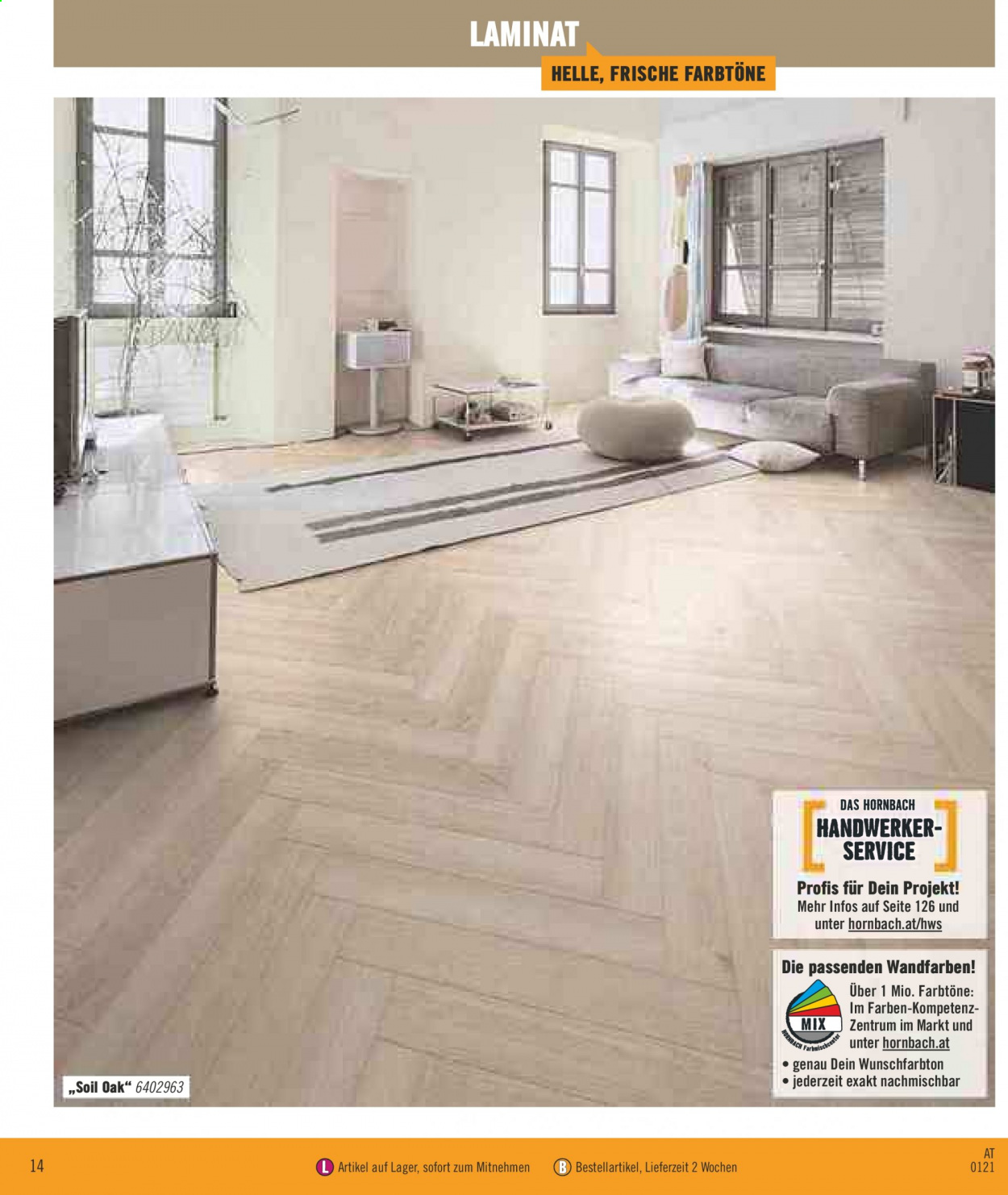 Angebote Hornbach - 11.1.2021 - 27.2.2021. Seite 14