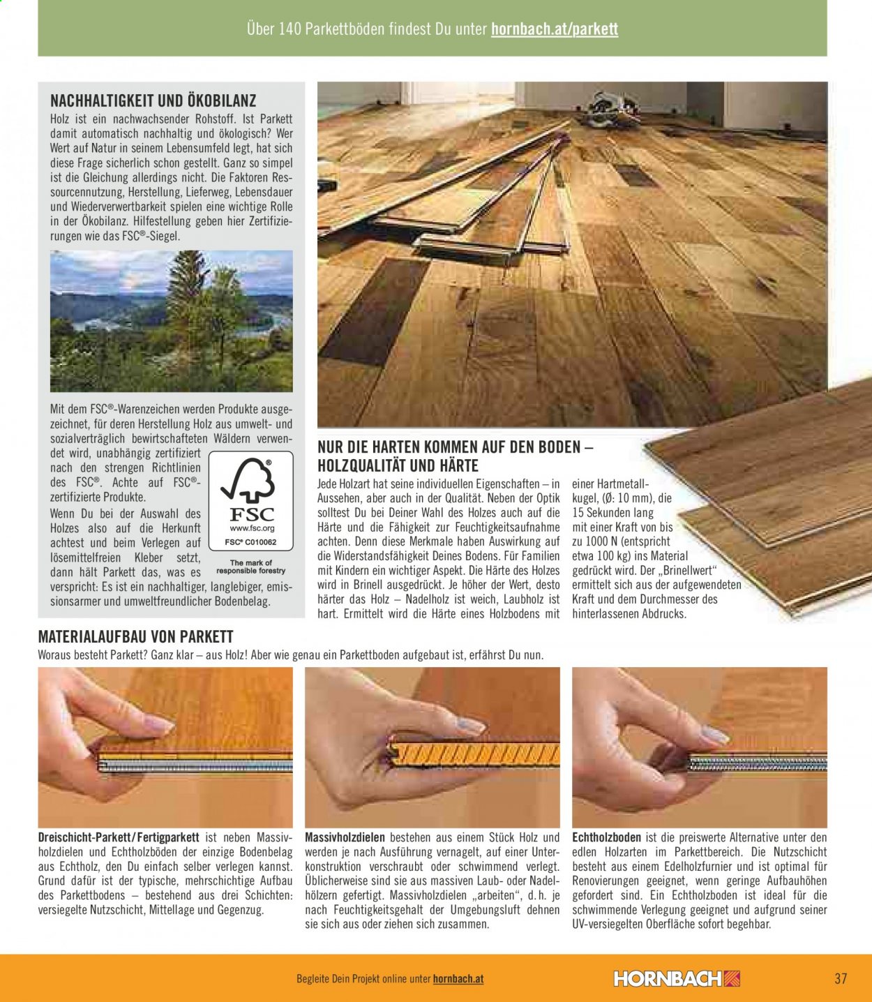 Angebote Hornbach - 11.1.2021 - 27.2.2021. Seite 37