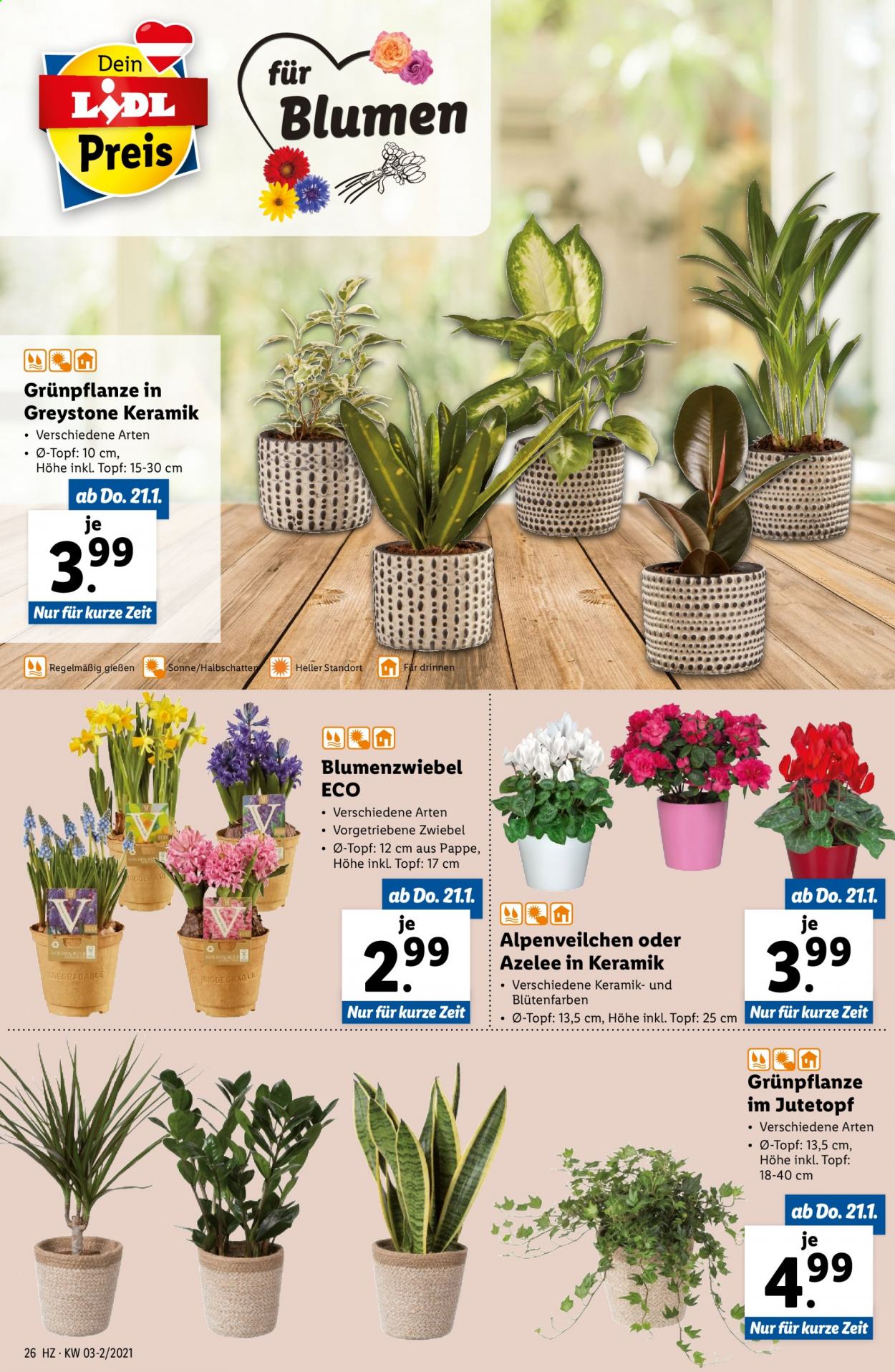 Angebote Lidl - 21.1.2021 - 27.1.2021. Seite 26