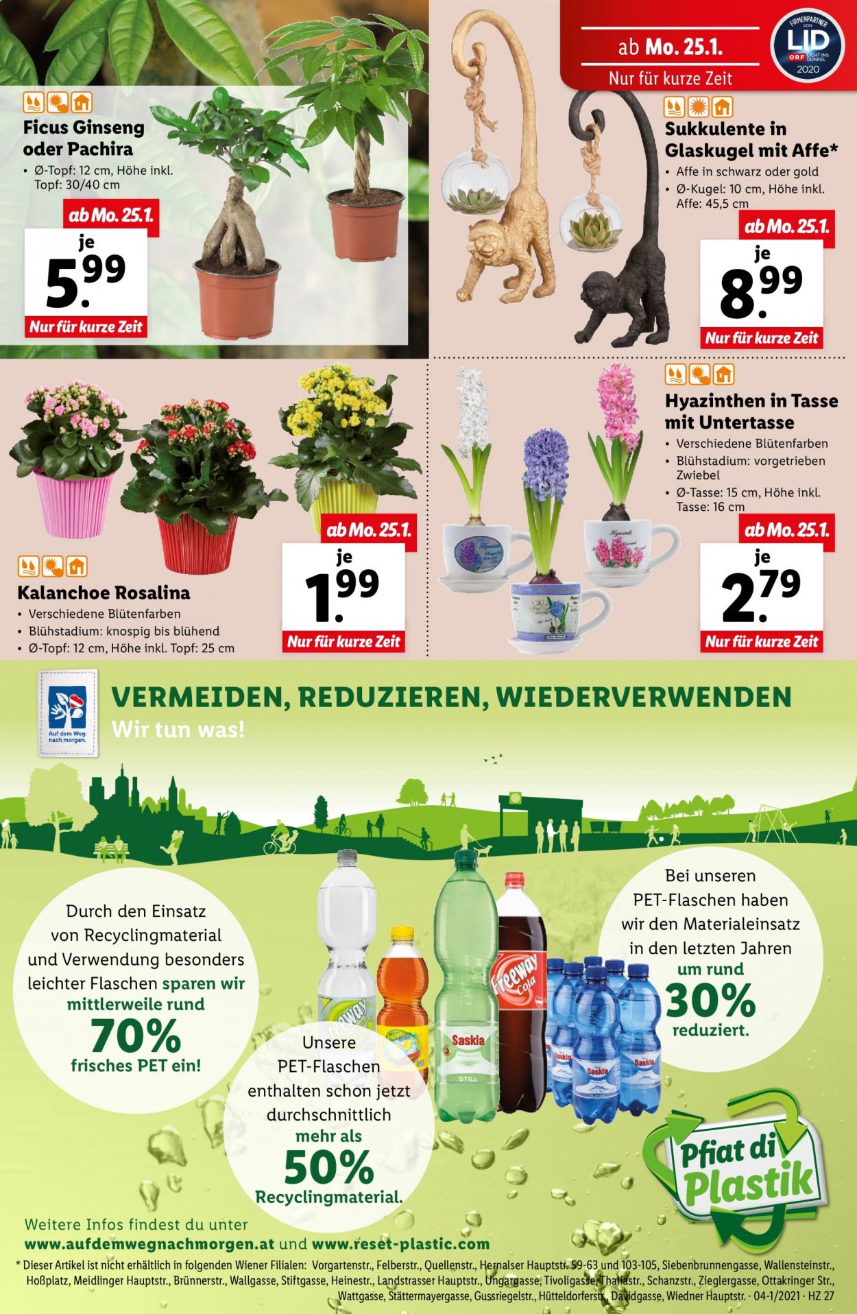 Angebote Lidl - 21.1.2021 - 27.1.2021. Seite 27