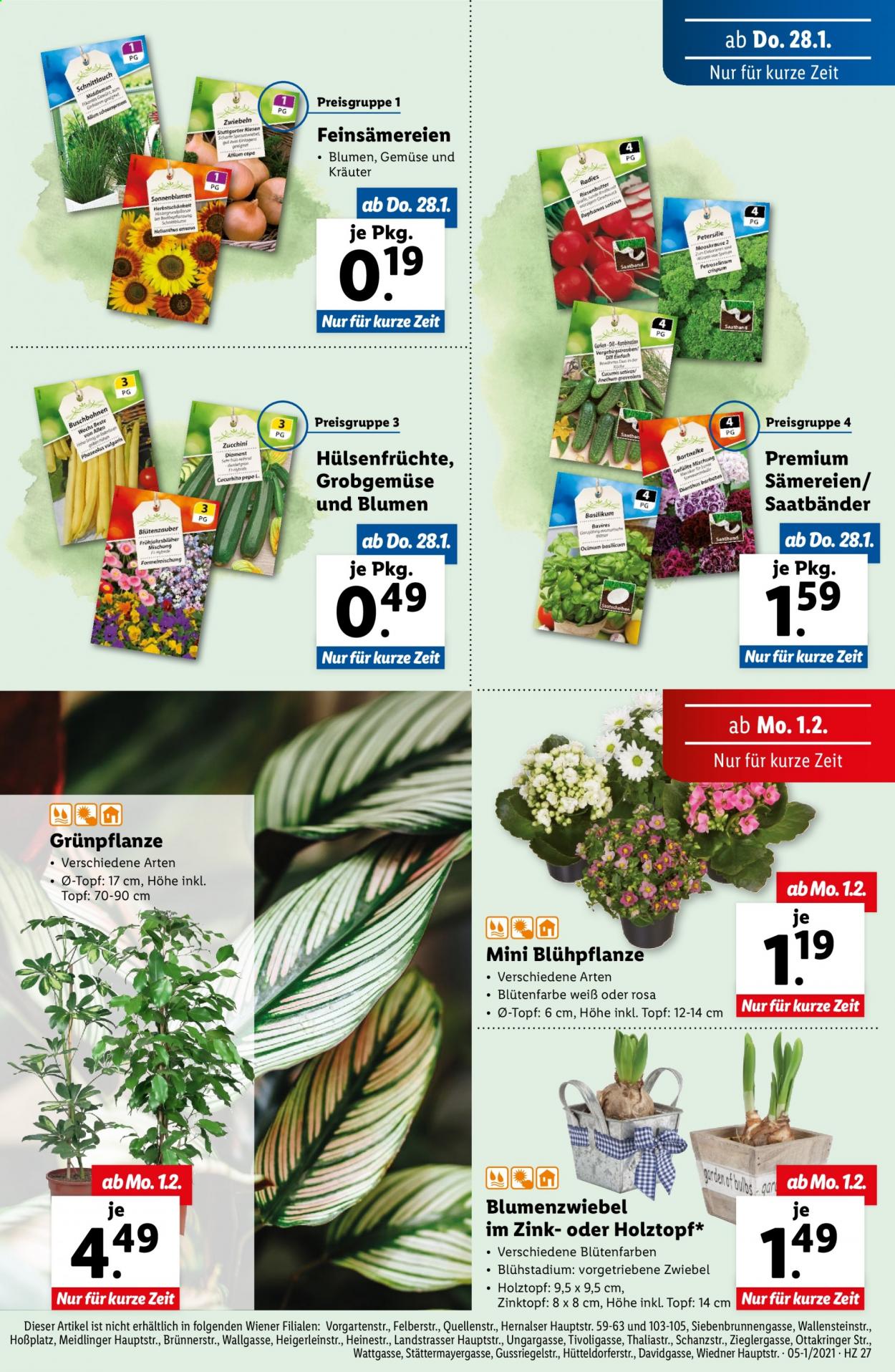 Angebote Lidl - 28.1.2021 - 3.2.2021. Seite 27