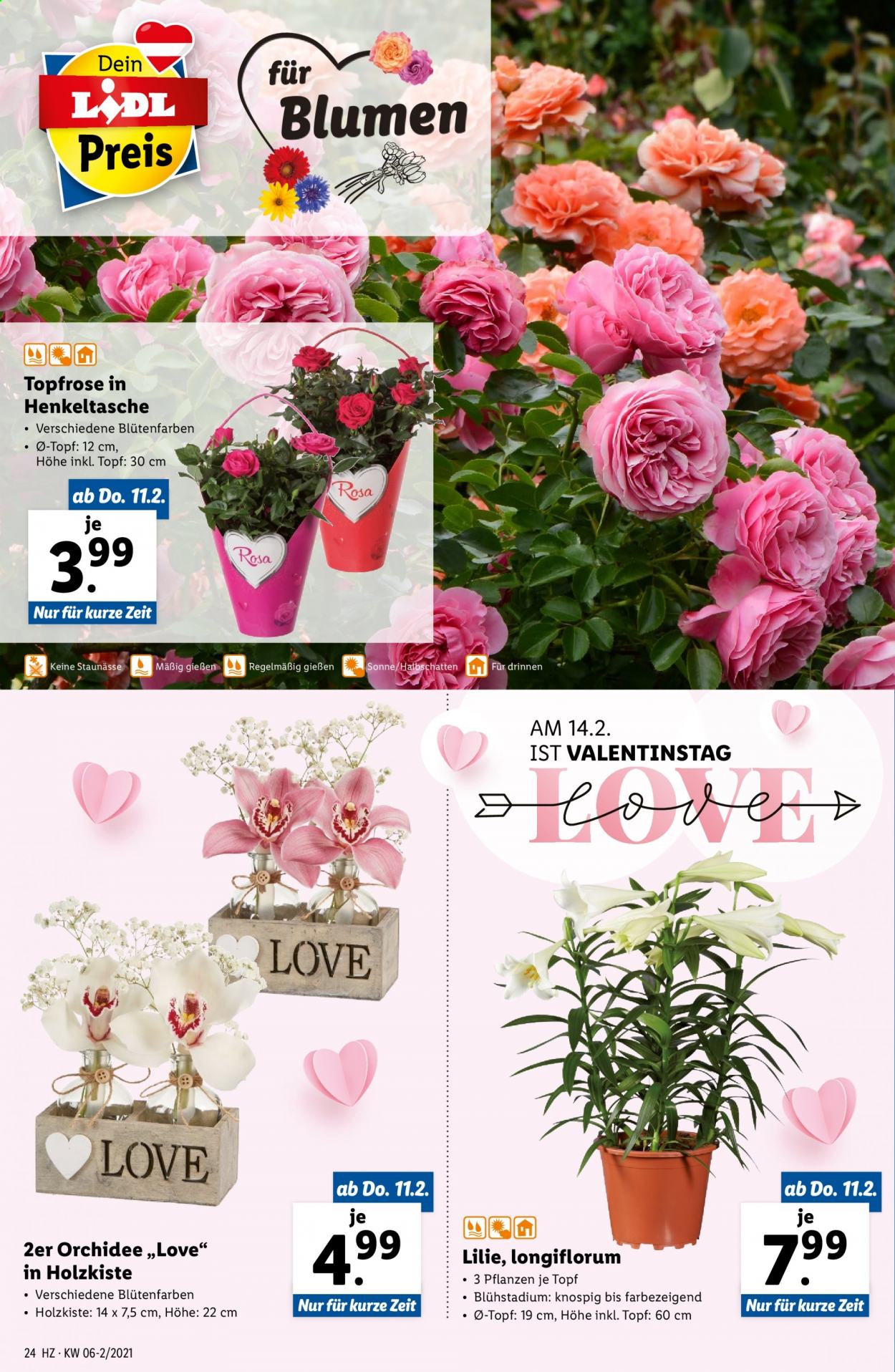 Angebote Lidl - 11.2.2021 - 17.2.2021. Seite 24