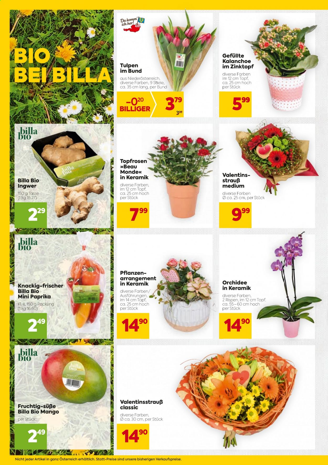Angebote Billa - 11.2.2021 - 17.2.2021. Seite 6
