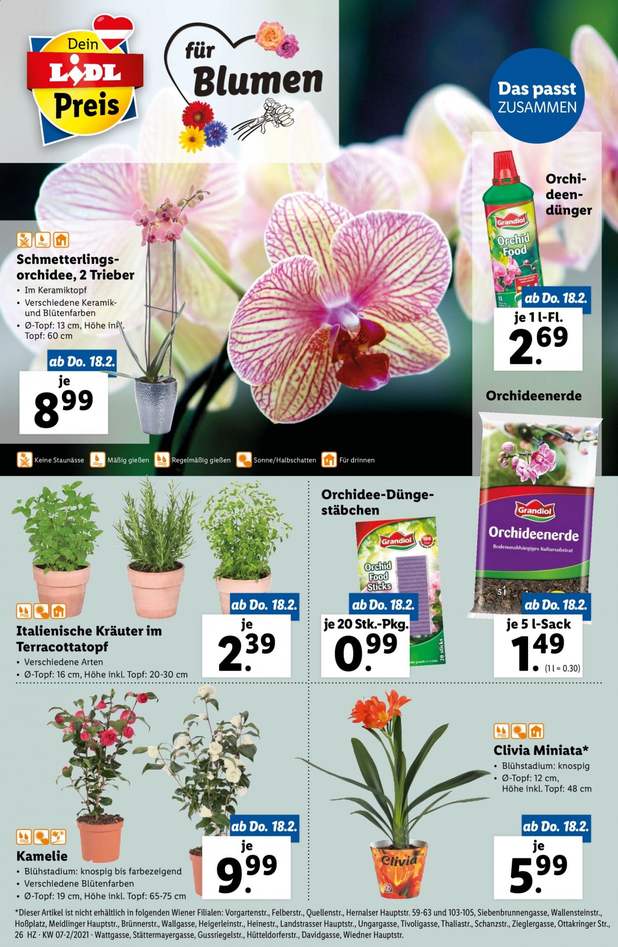 Angebote Lidl - 18.2.2021 - 24.2.2021. Seite 26