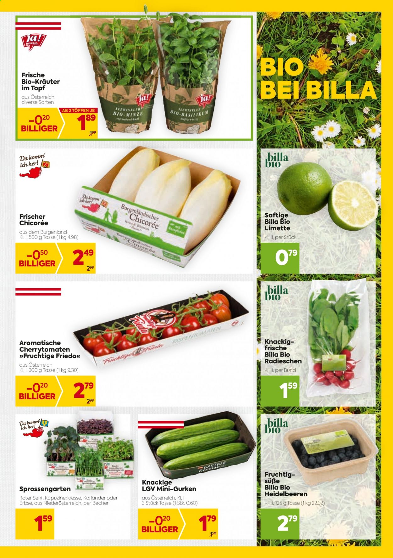 Angebote Billa - 18.2.2021 - 24.2.2021. Seite 7