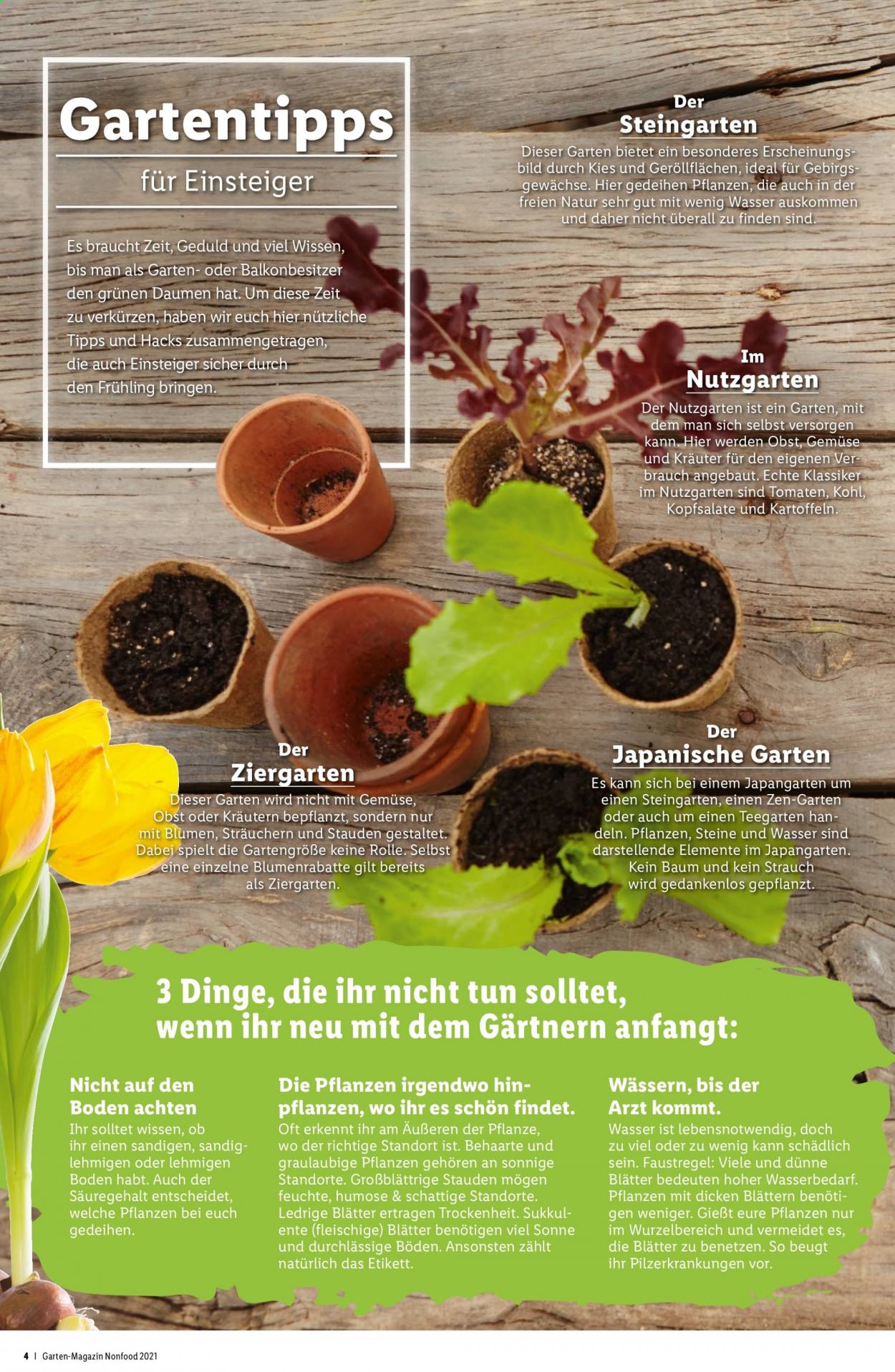 Angebote Lidl. Seite 4