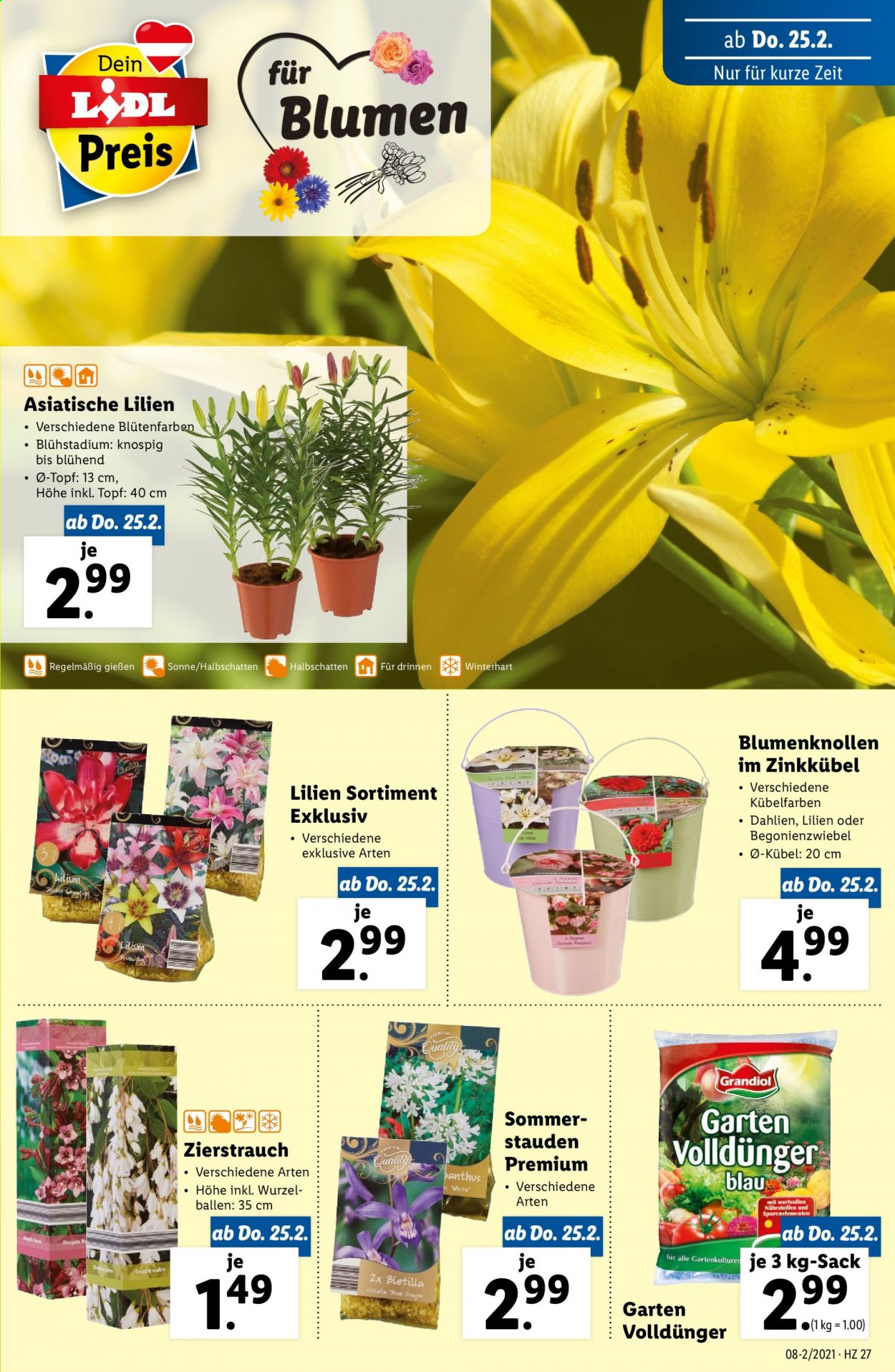 Angebote Lidl - 25.2.2021 - 3.3.2021. Seite 27