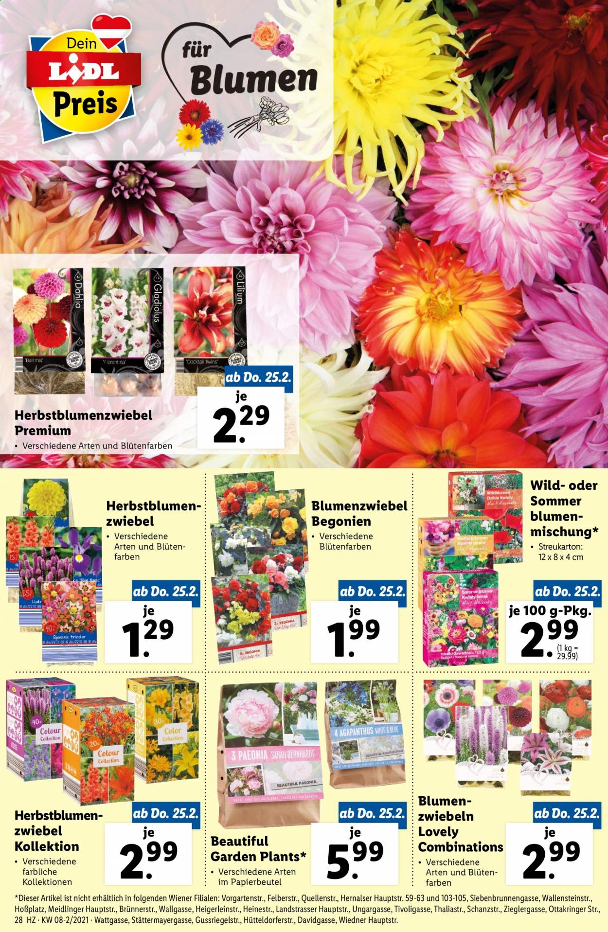 Angebote Lidl - 25.2.2021 - 3.3.2021. Seite 28