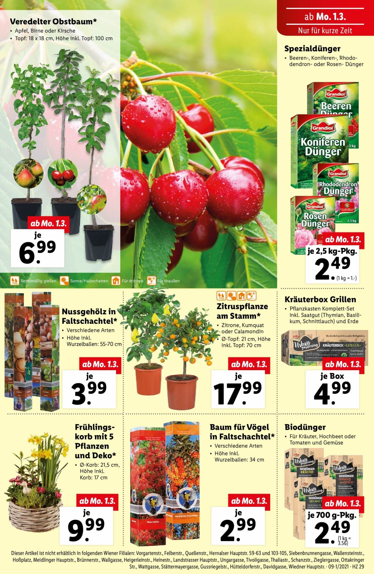 Angebote Lidl - 25.2.2021 - 3.3.2021. Seite 29