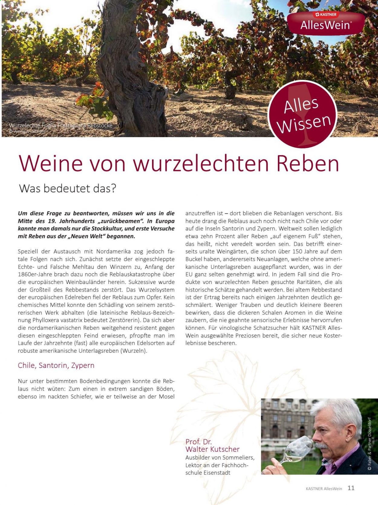 Angebote KASTNER - 15.2.2021 - 15.5.2021. Seite 11