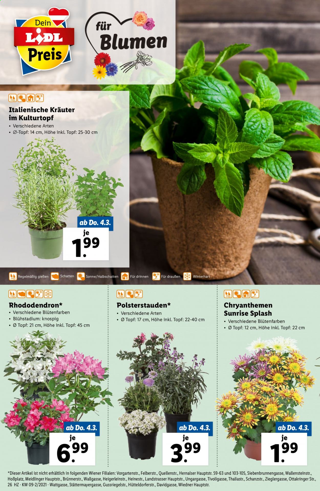 Angebote Lidl - 4.3.2021 - 10.3.2021. Seite 26