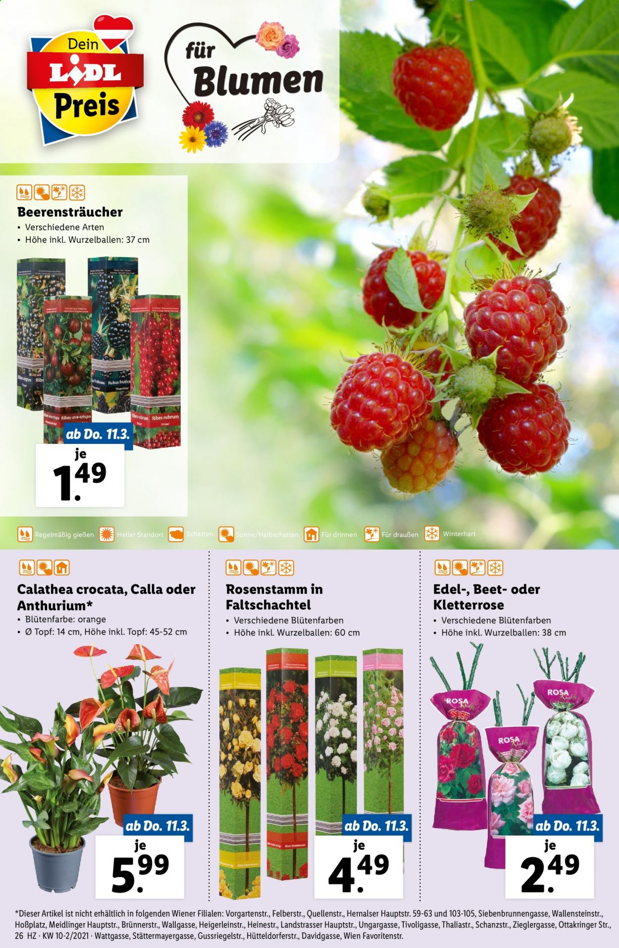 Angebote Lidl - 11.3.2021 - 17.3.2021. Seite 26