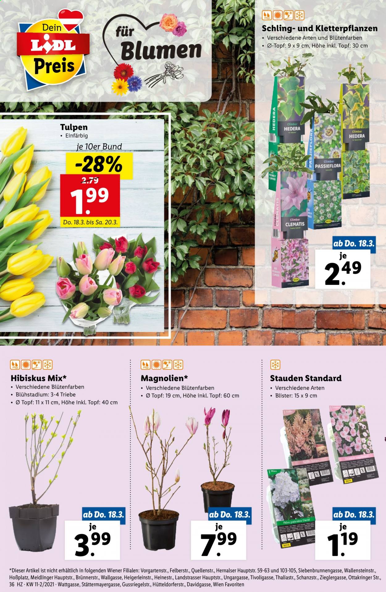 Angebote Lidl - 18.3.2021 - 24.3.2021. Seite 36