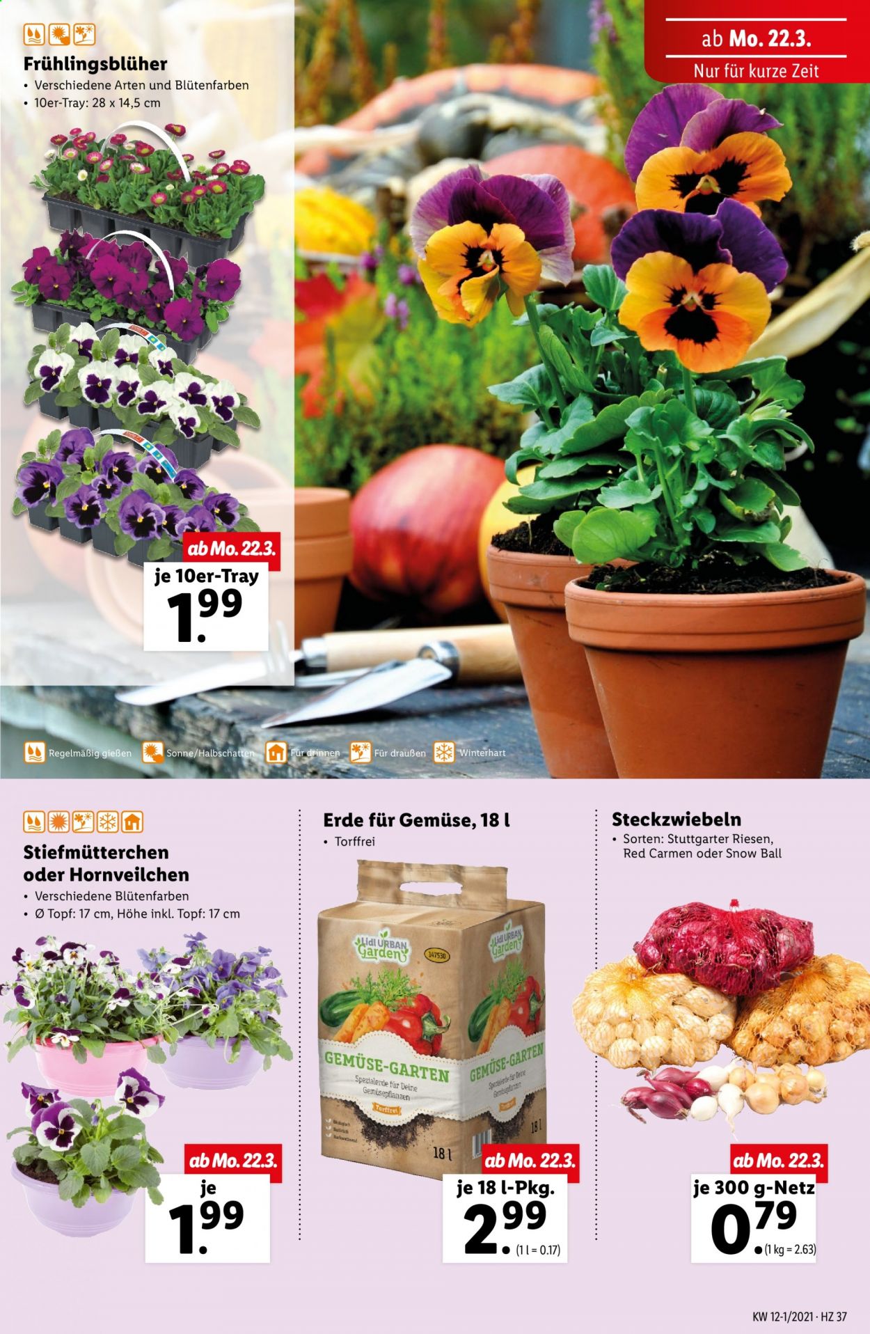 Angebote Lidl - 18.3.2021 - 24.3.2021. Seite 37