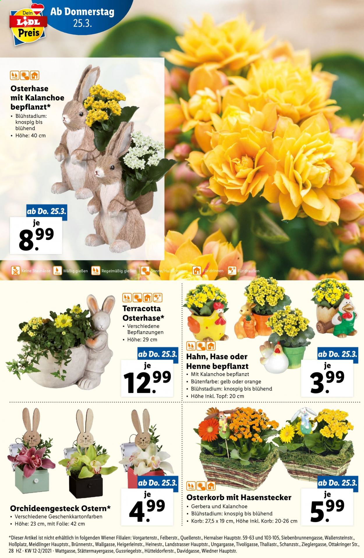 Angebote Lidl - 25.3.2021 - 31.3.2021. Seite 28