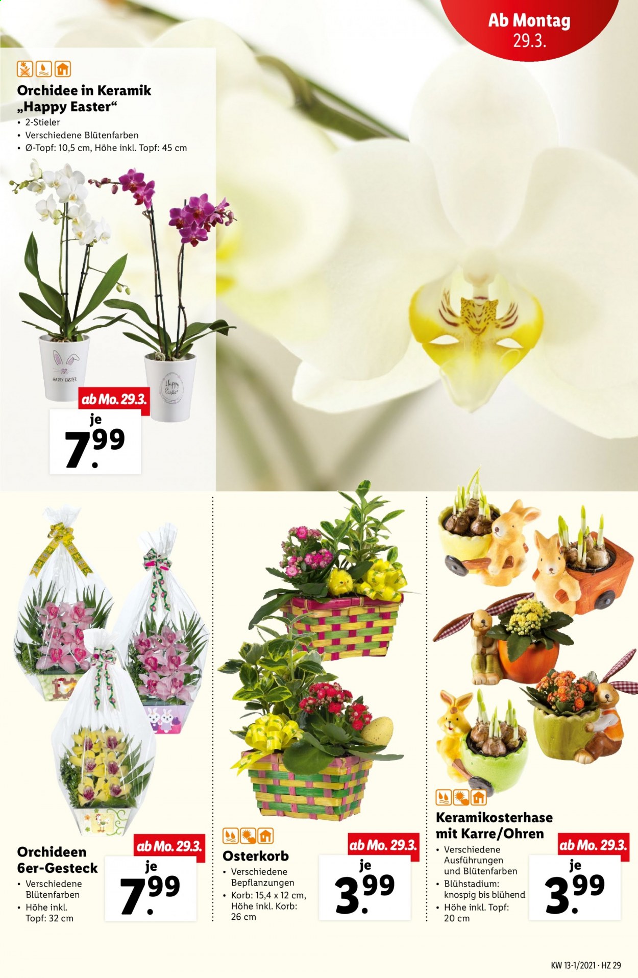 Angebote Lidl - 25.3.2021 - 31.3.2021. Seite 29