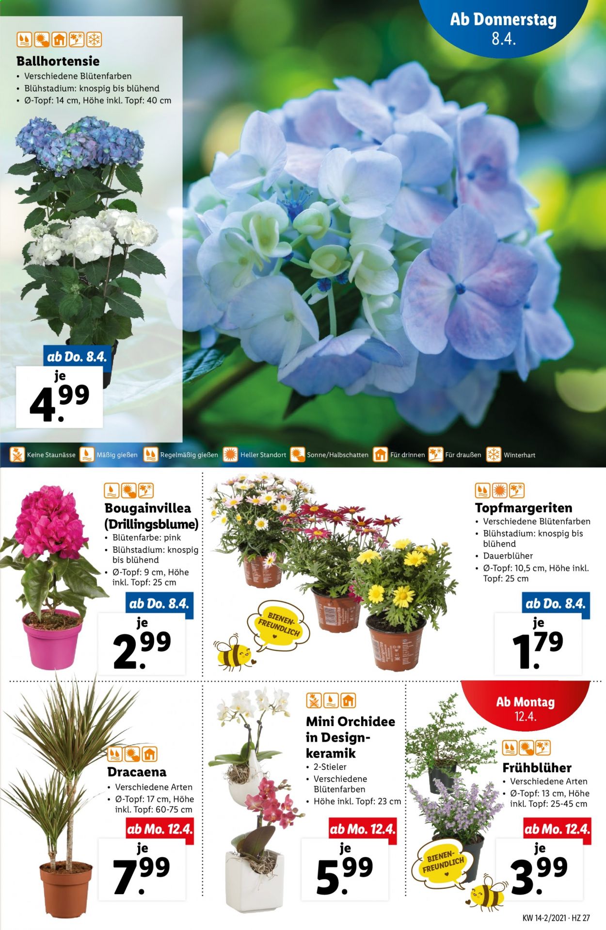 Angebote Lidl - 8.4.2021 - 14.4.2021. Seite 27
