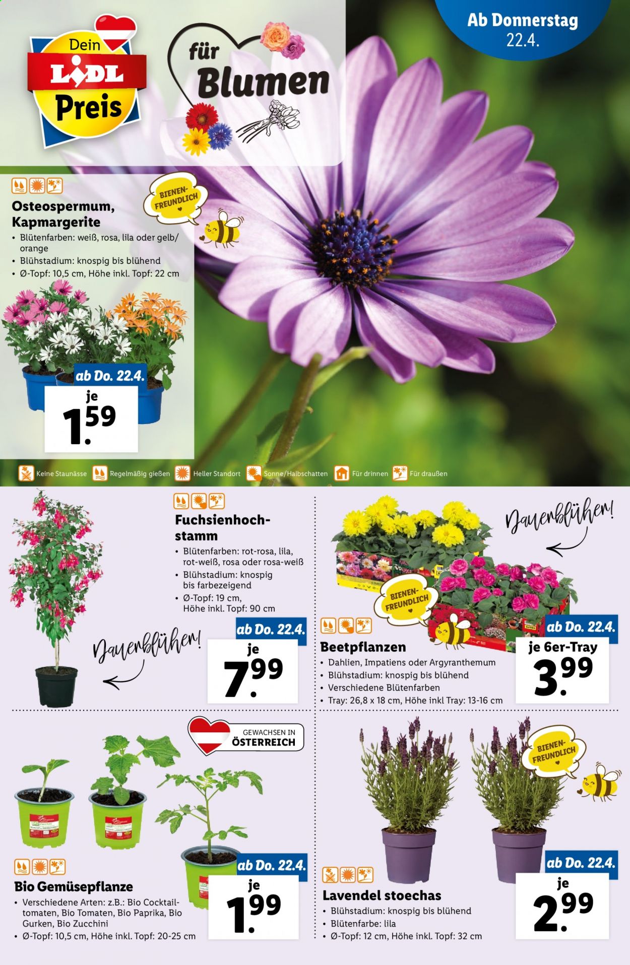 Angebote Lidl - 22.4.2021 - 28.4.2021. Seite 25