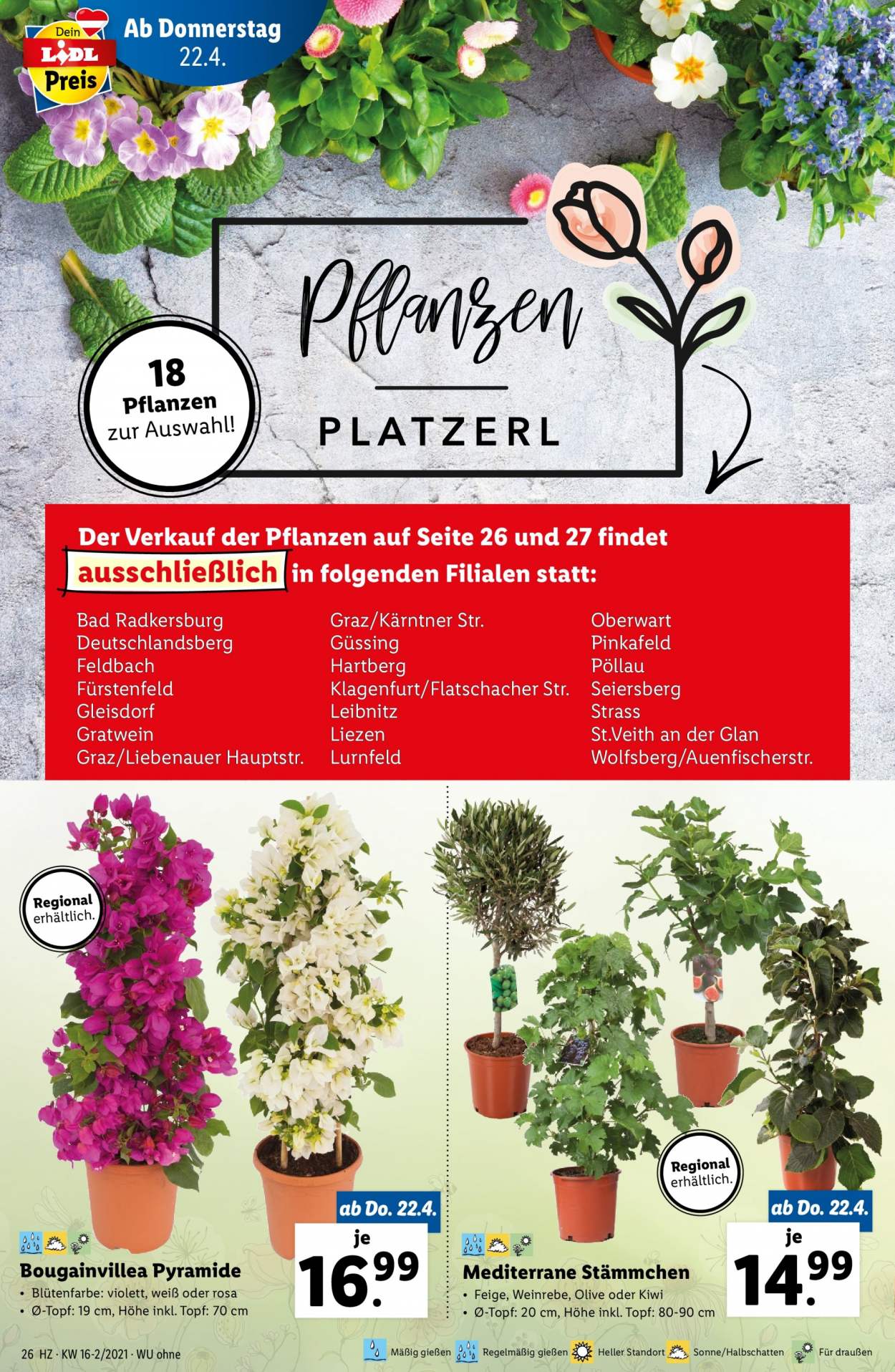Angebote Lidl - 22.4.2021 - 28.4.2021. Seite 26