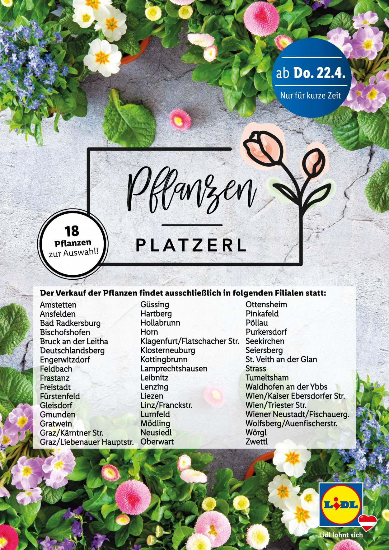 Angebote Lidl. Seite 1