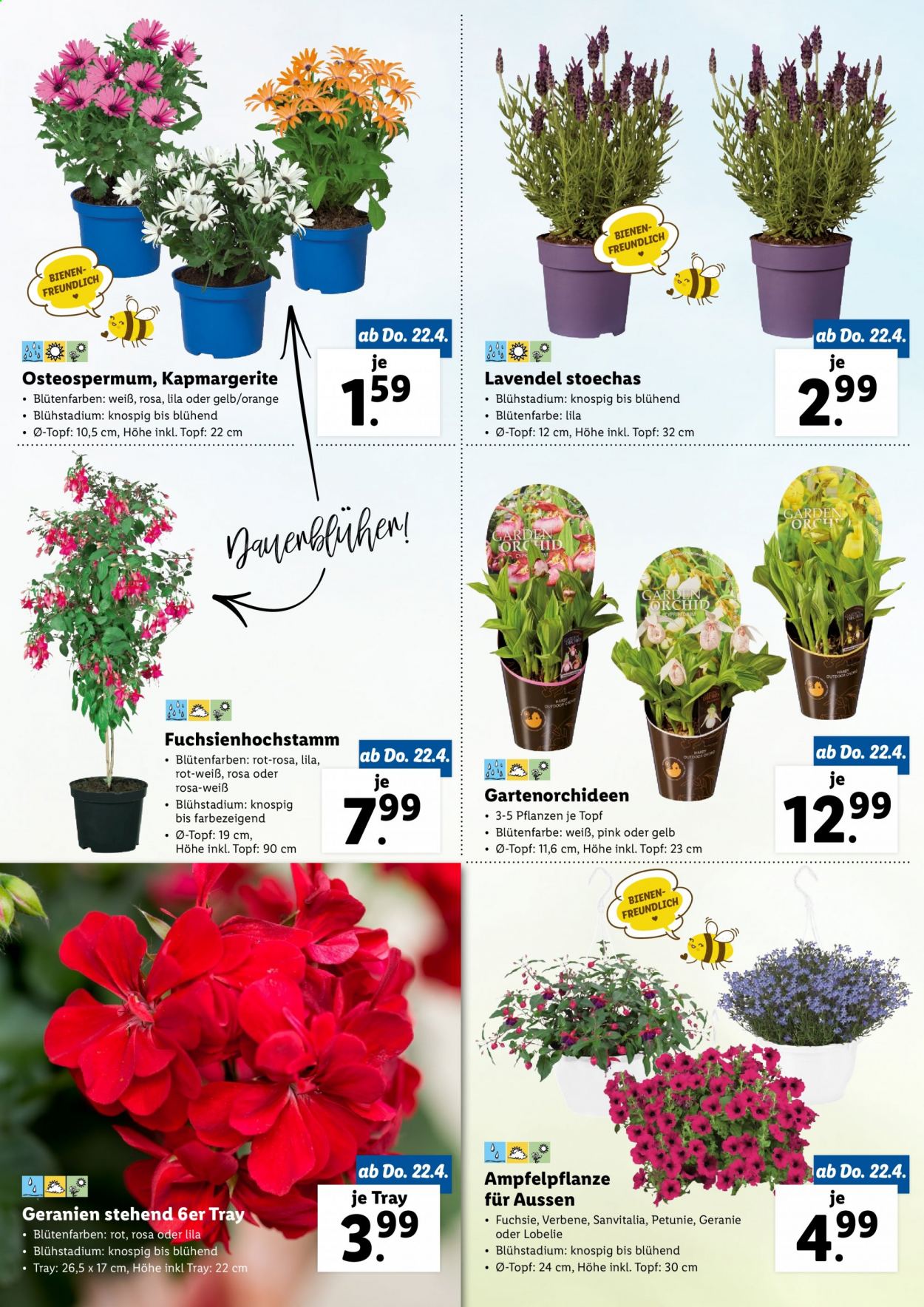 Angebote Lidl. Seite 2