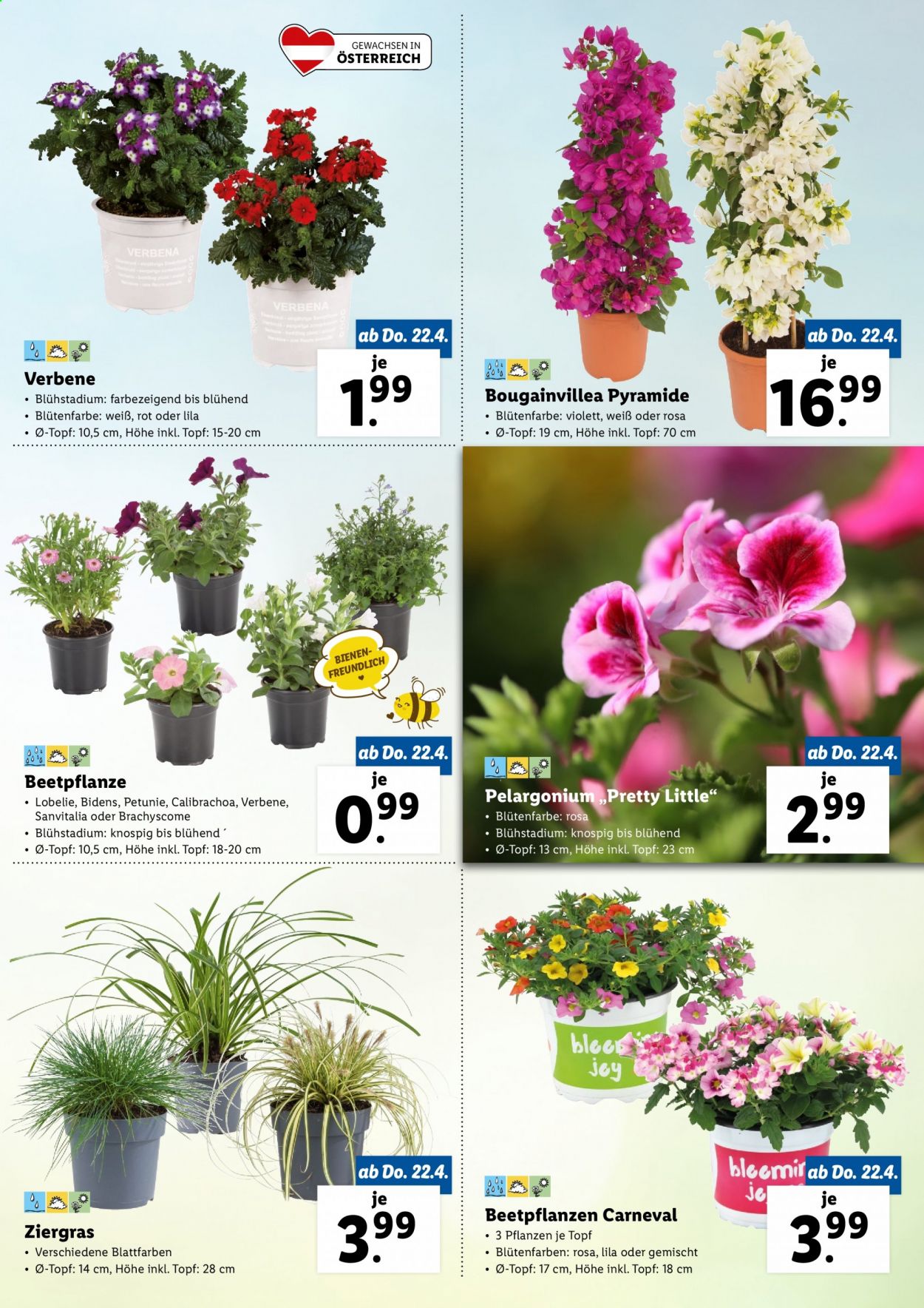 Angebote Lidl. Seite 3