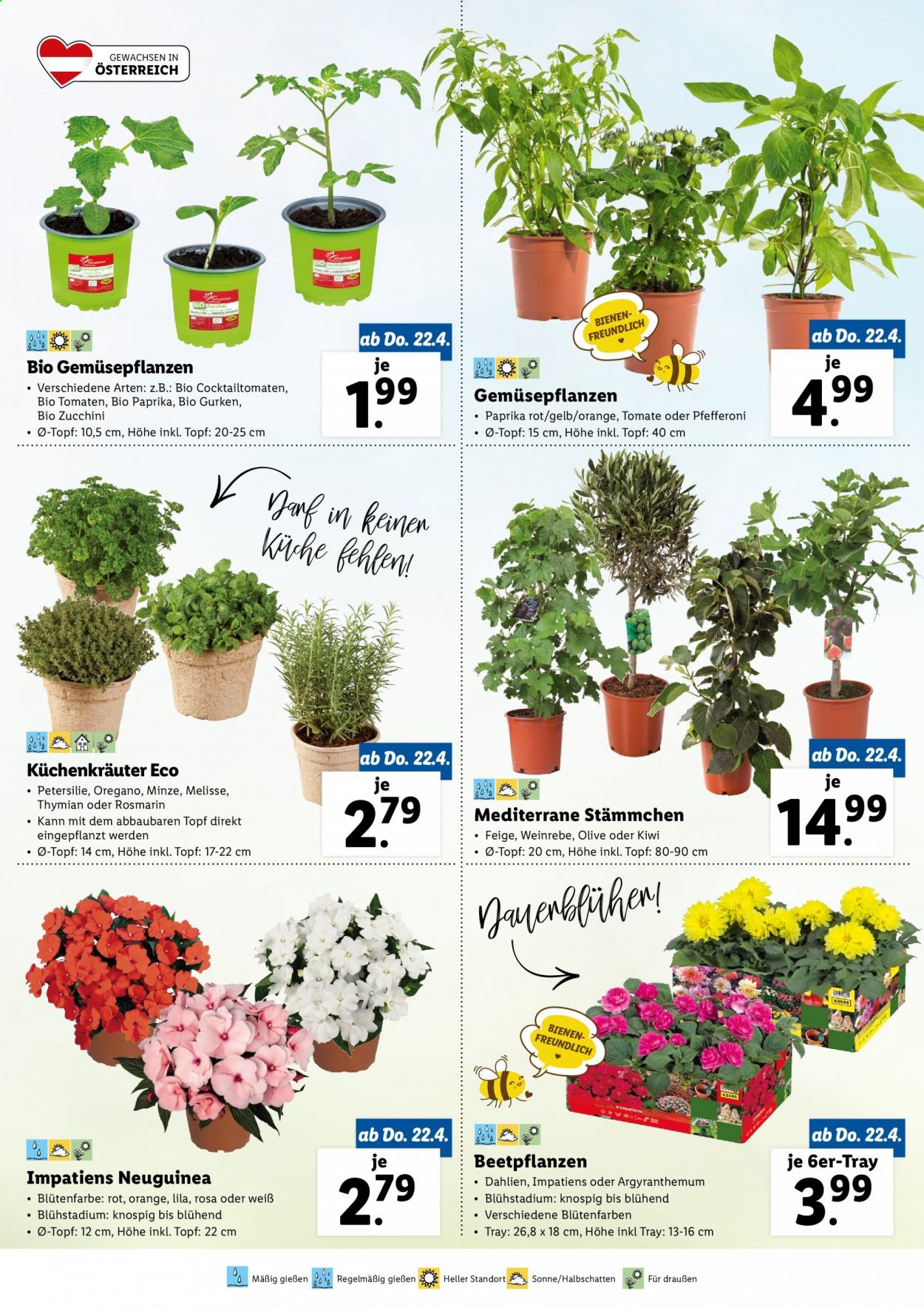 Angebote Lidl. Seite 4