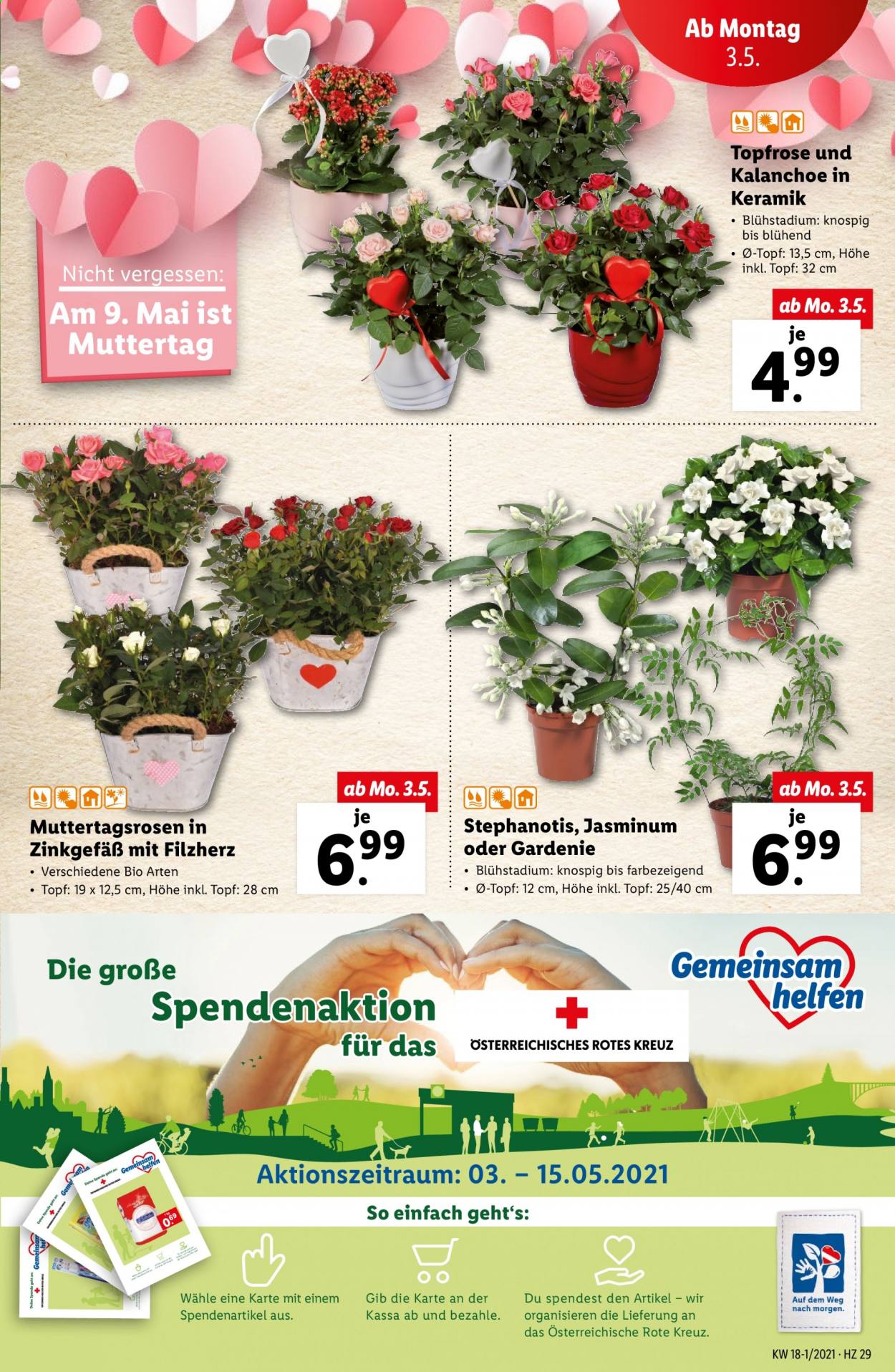 Angebote Lidl - 28.4.2021 - 5.5.2021. Seite 29