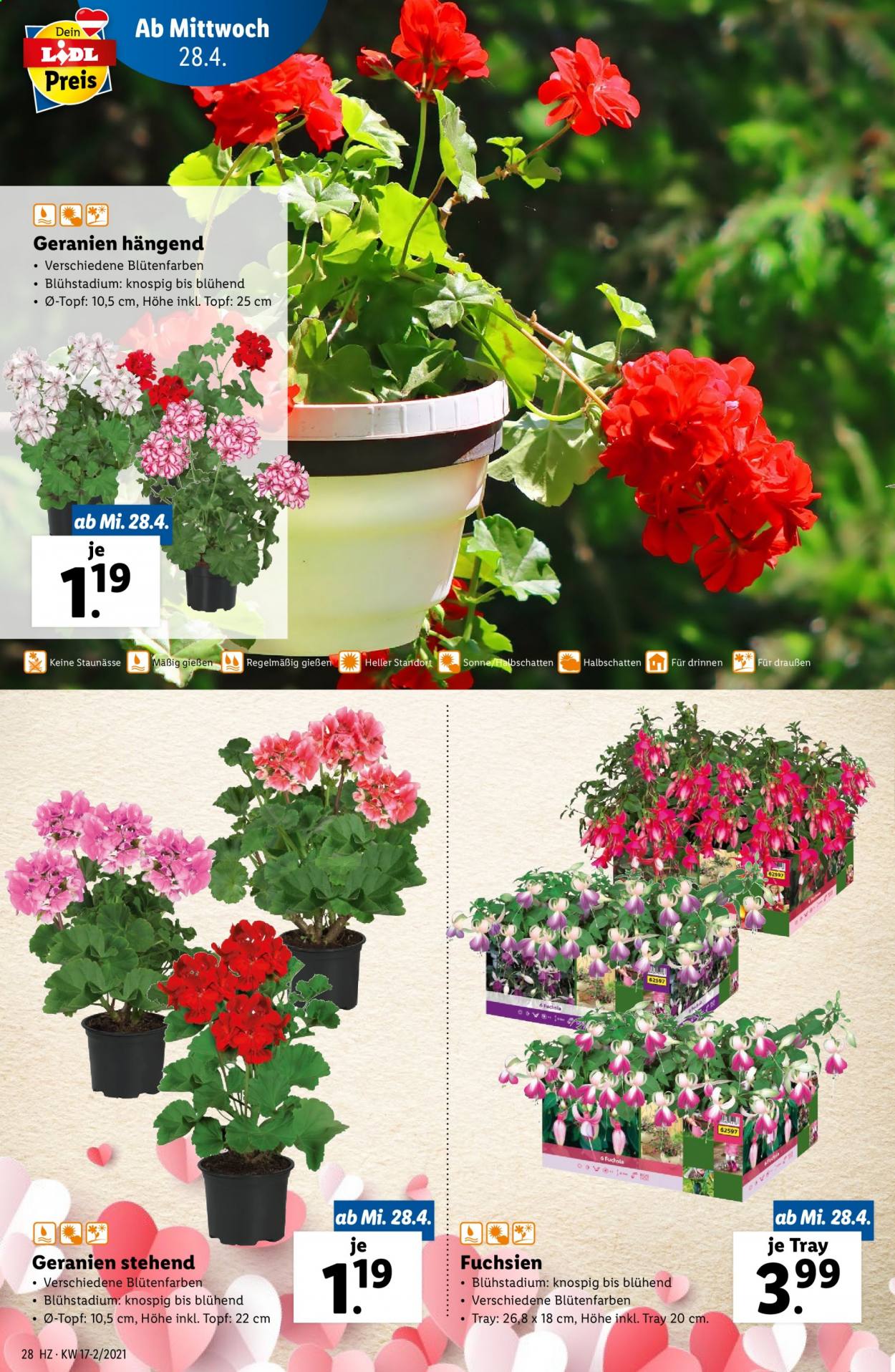 Angebote Lidl - 28.4.2021 - 5.5.2021. Seite 28