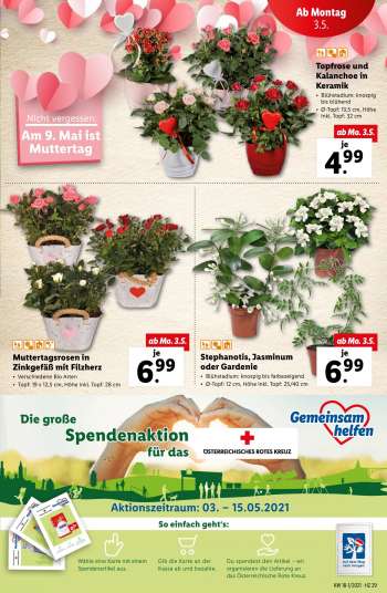 thumbnail - Gardenie