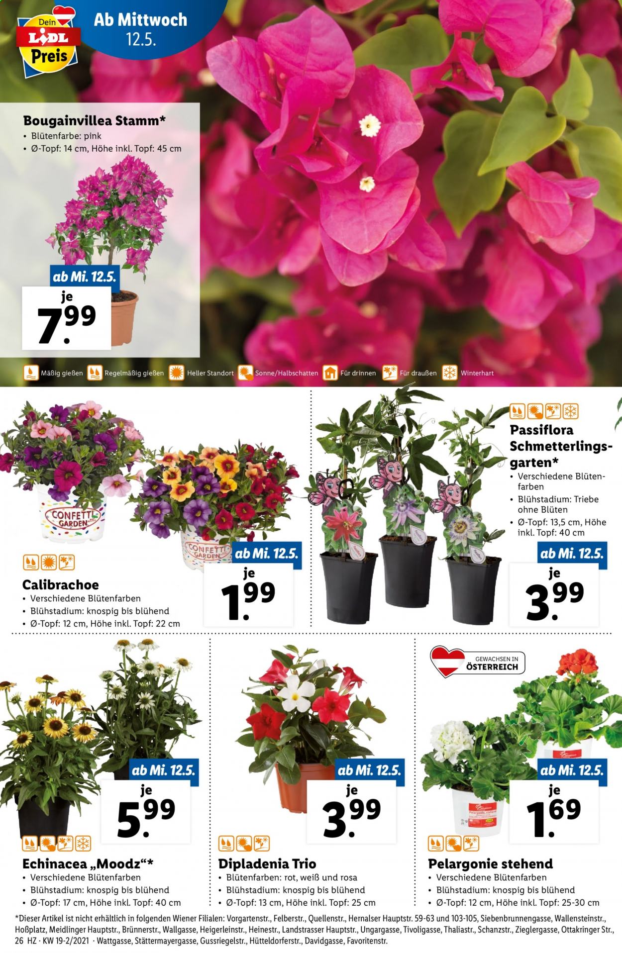 Angebote Lidl - 12.5.2021 - 19.5.2021. Seite 26