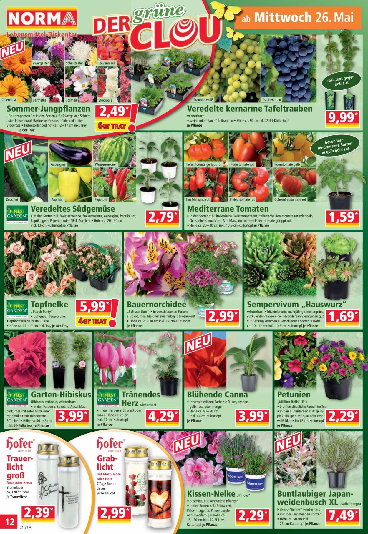 Angebote Norma - 25.5.2021 - 29.5.2021. Seite 12