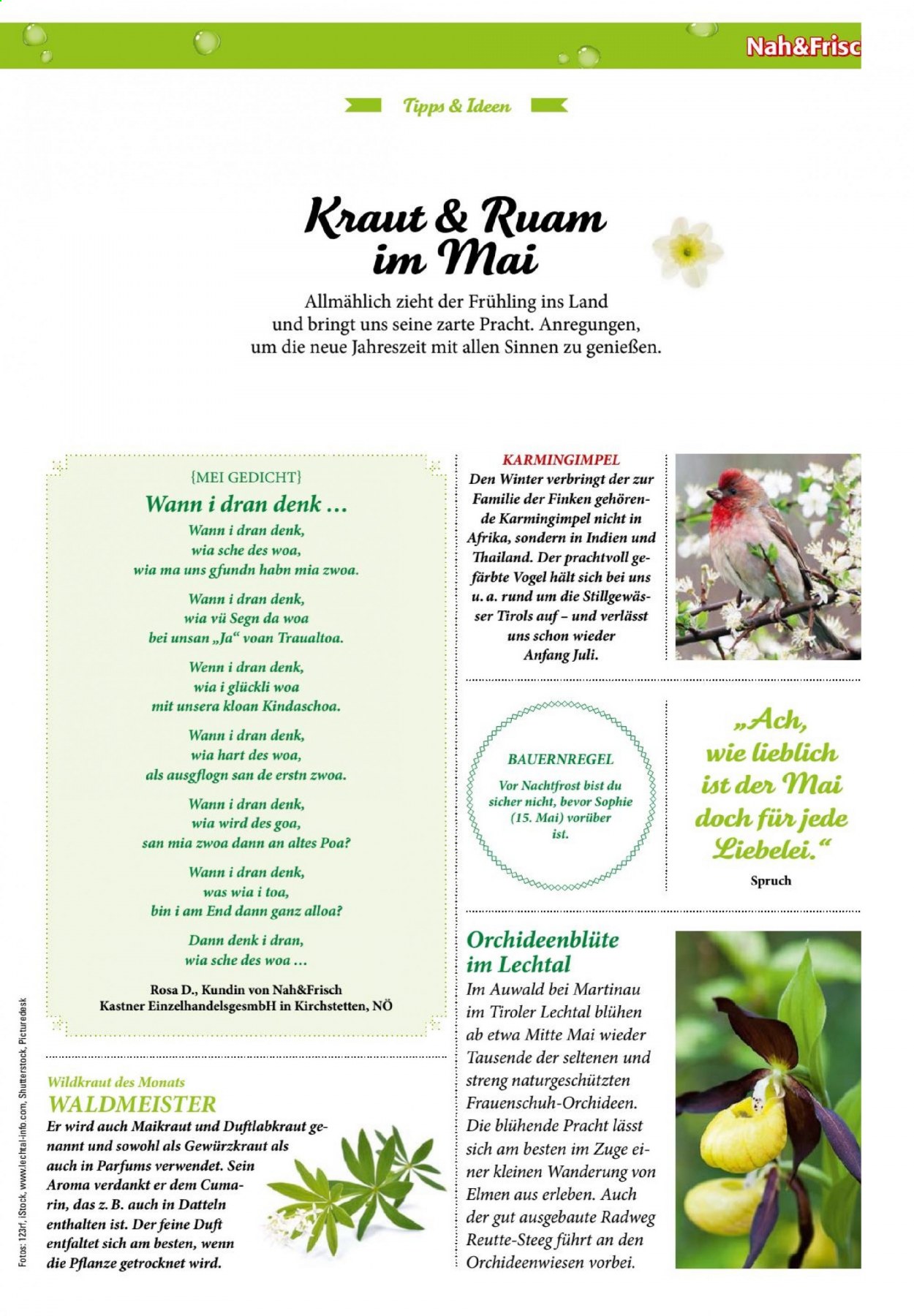 Angebote KASTNER - 26.5.2021 - 1.6.2021. Seite 5