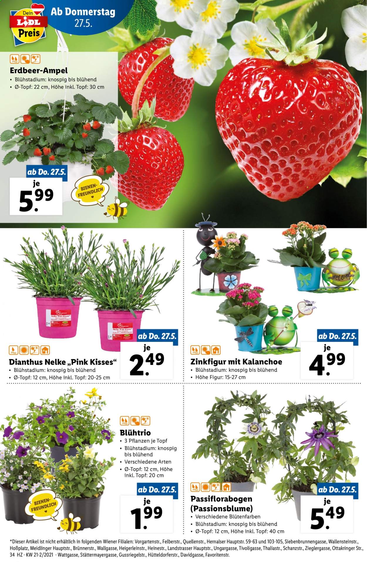 Angebote Lidl - 27.5.2021 - 1.6.2021. Seite 34