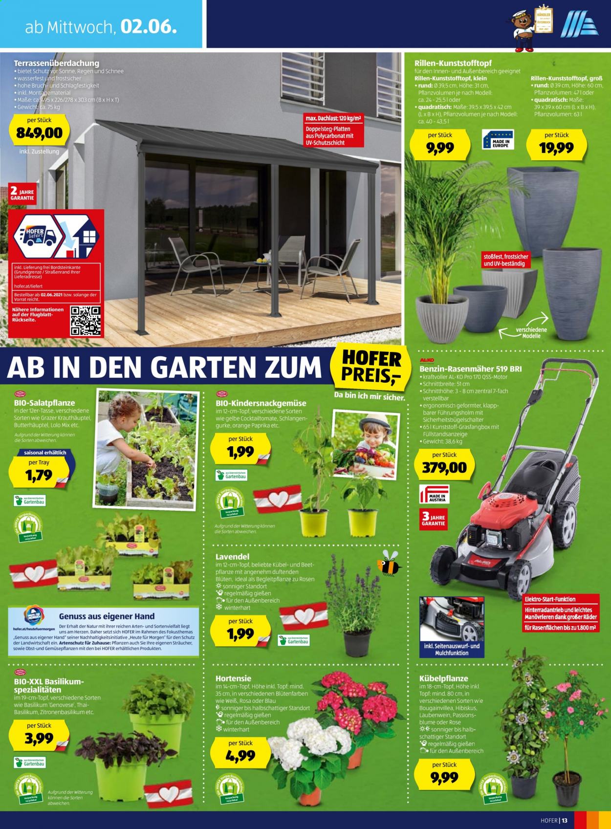 Angebote Hofer - 29.5.2021 - 5.6.2021. Seite 13