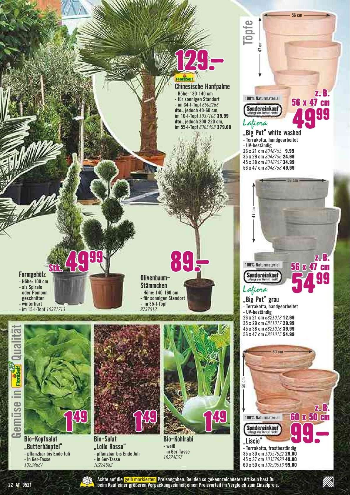 Angebote Hornbach - 27.5.2021 - 26.6.2021. Seite 17