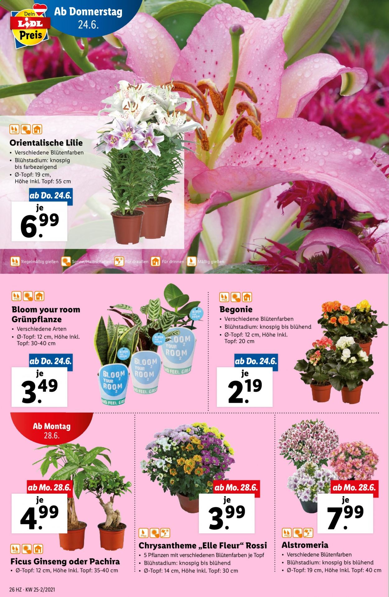 Angebote Lidl - 24.6.2021 - 30.6.2021. Seite 26