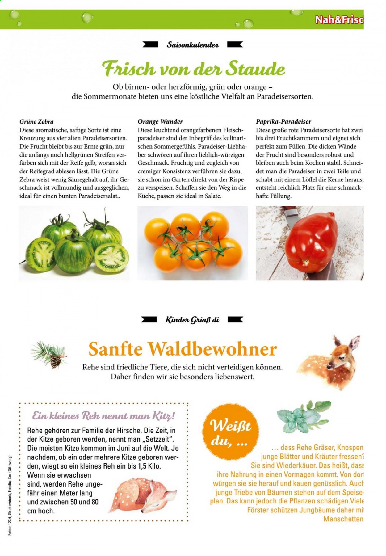 Angebote KASTNER - 30.6.2021 - 6.7.2021. Seite 7