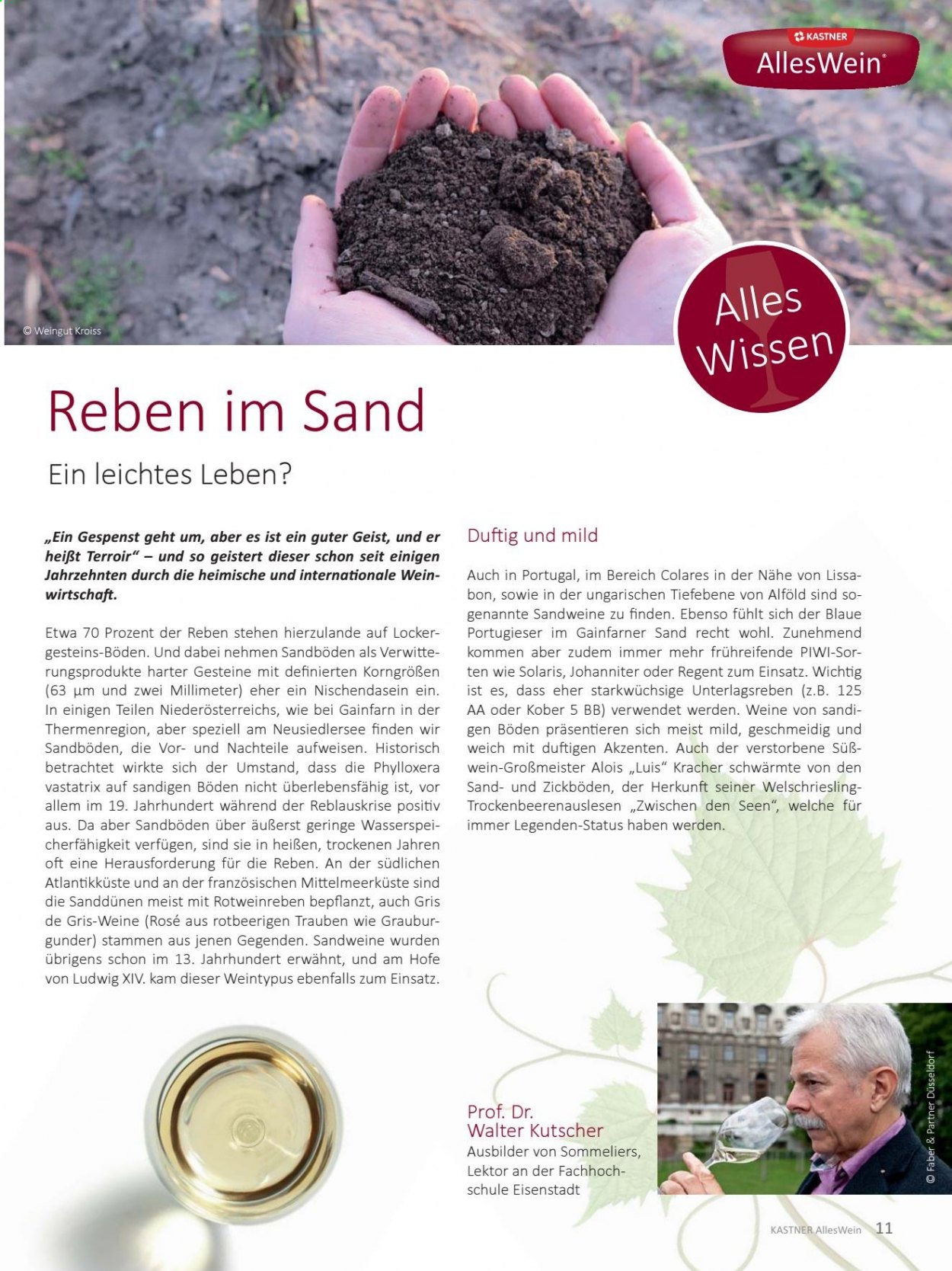 Angebote KASTNER - 17.5.2021 - 7.8.2021. Seite 11