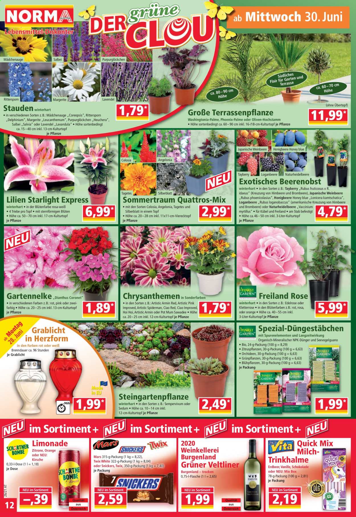 Angebote Norma - 28.6.2021 - 3.7.2021. Seite 12