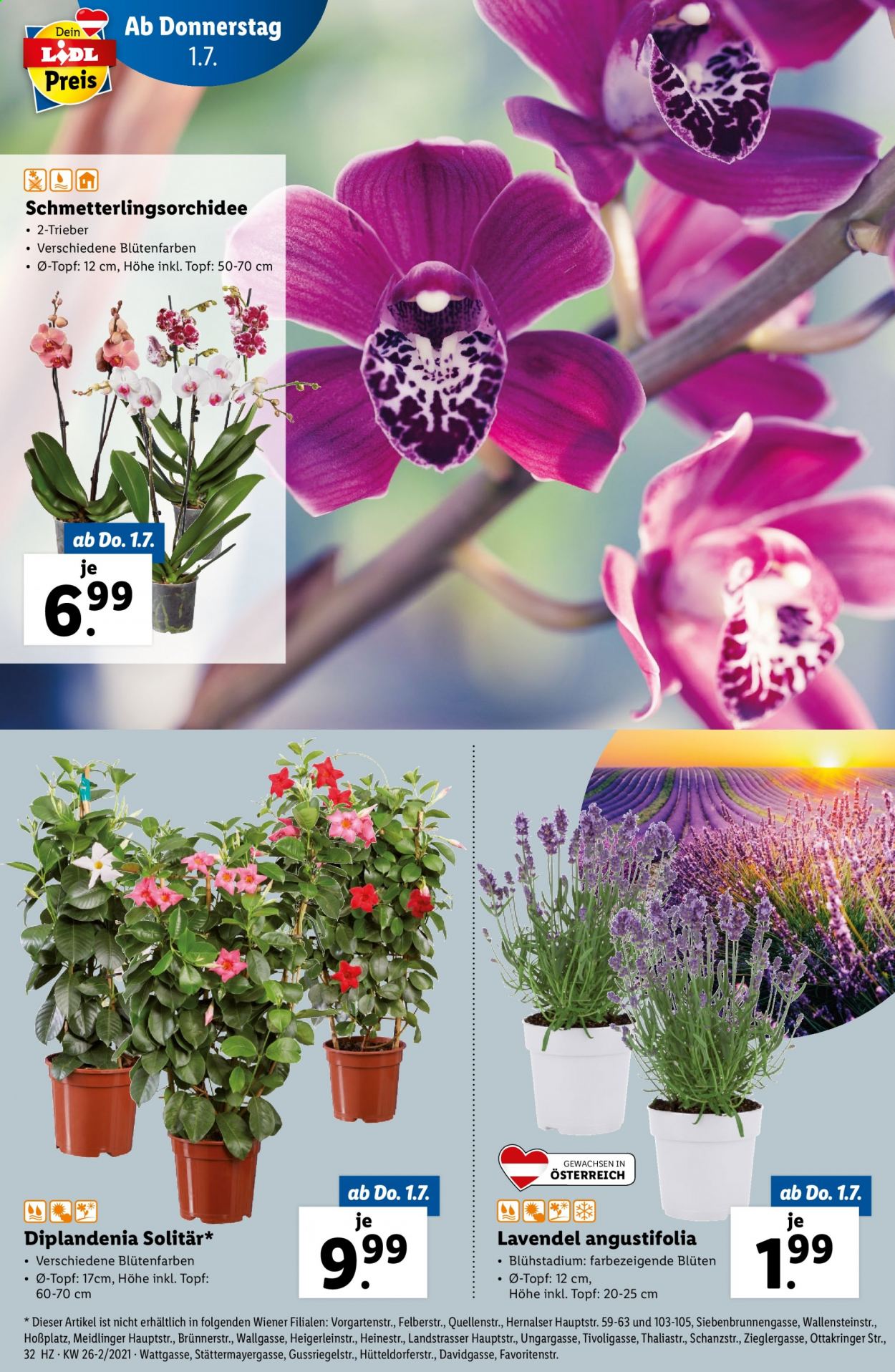 Angebote Lidl - 1.7.2021 - 7.7.2021. Seite 32