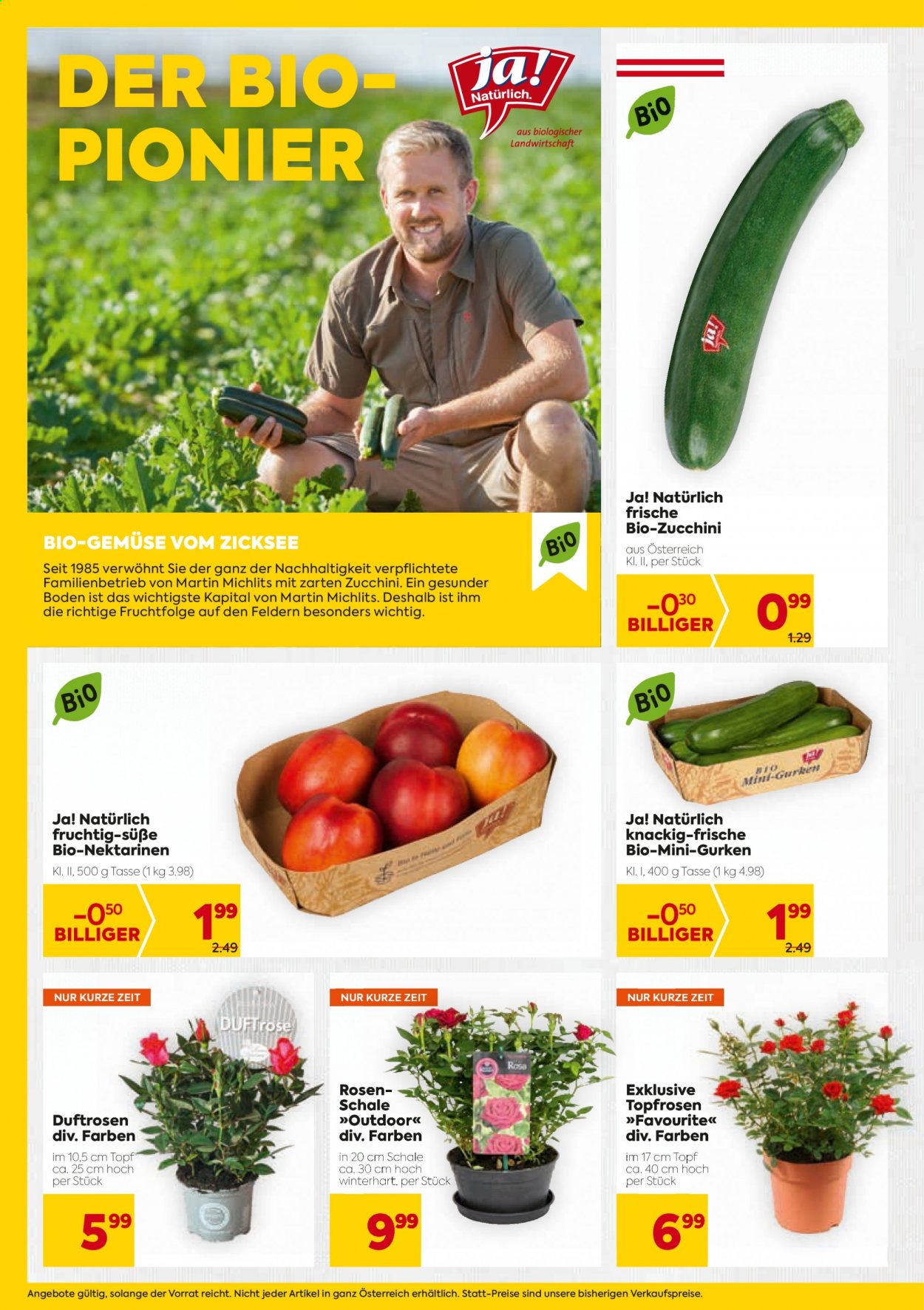Angebote Billa - 1.7.2021 - 7.7.2021. Seite 4