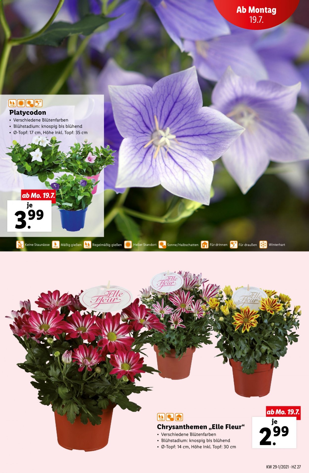 Angebote Lidl - 15.7.2021 - 21.7.2021. Seite 27