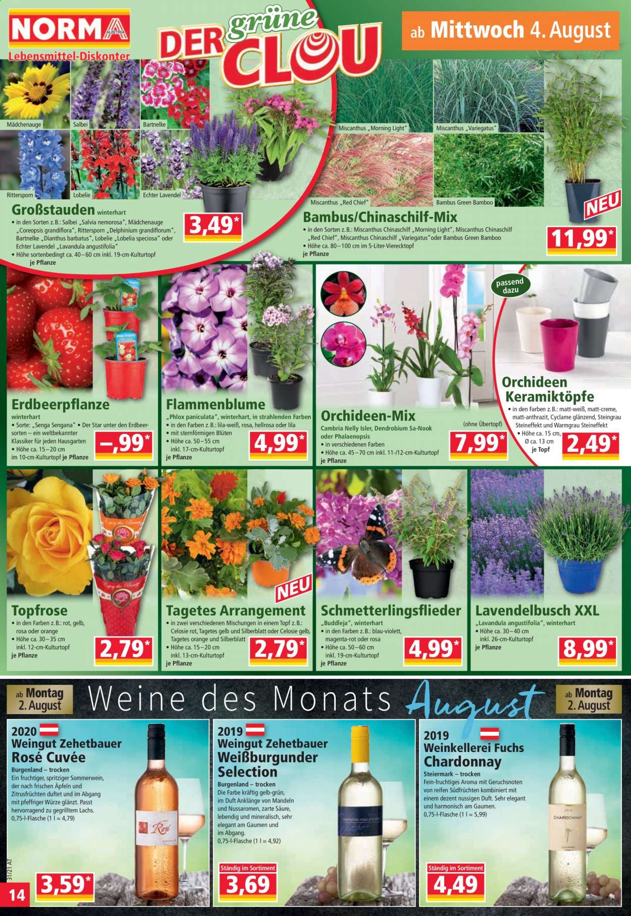 Angebote Norma - 2.8.2021 - 7.8.2021. Seite 14