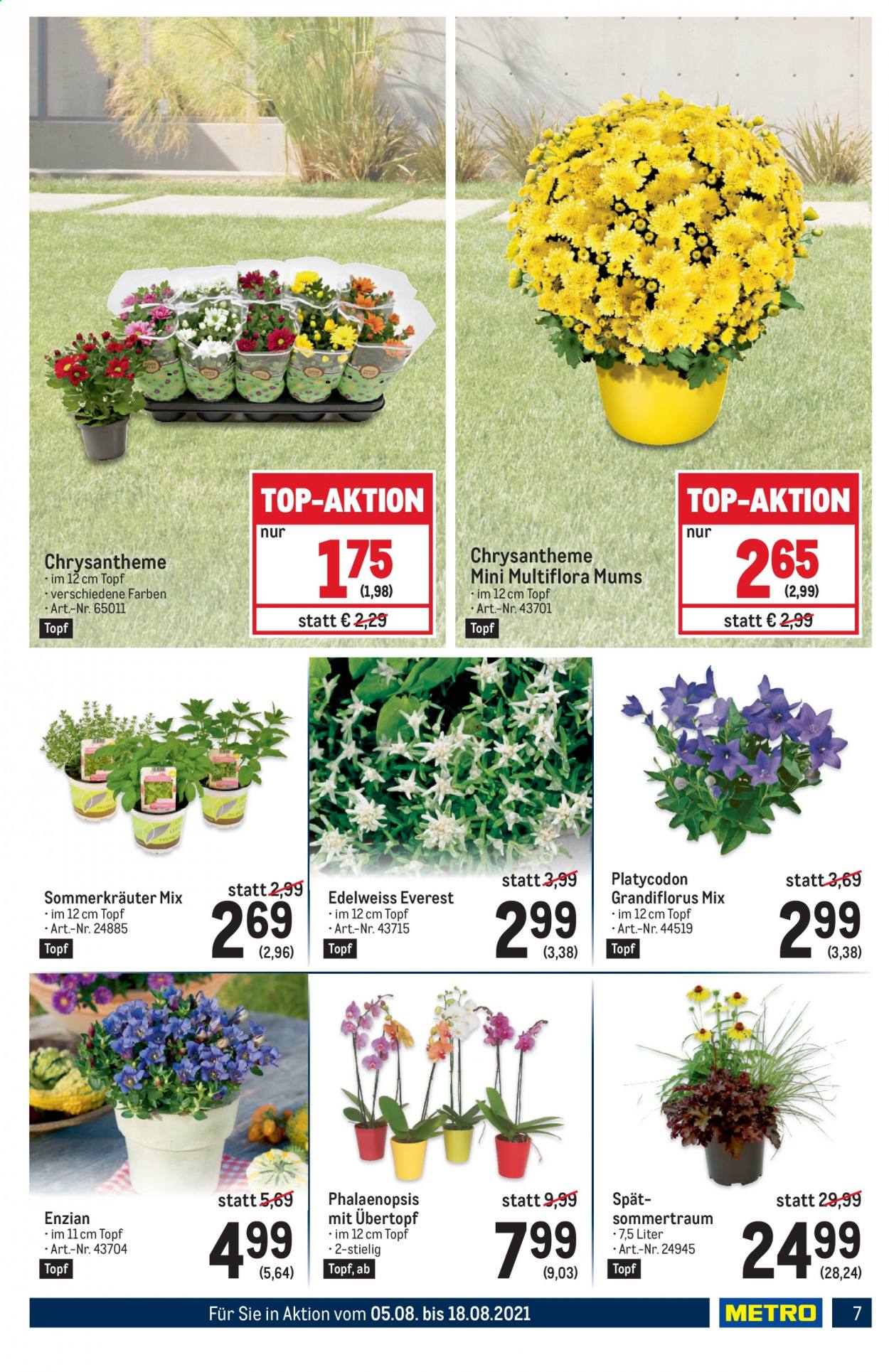 Angebote Metro - 5.8.2021 - 18.8.2021. Seite 7