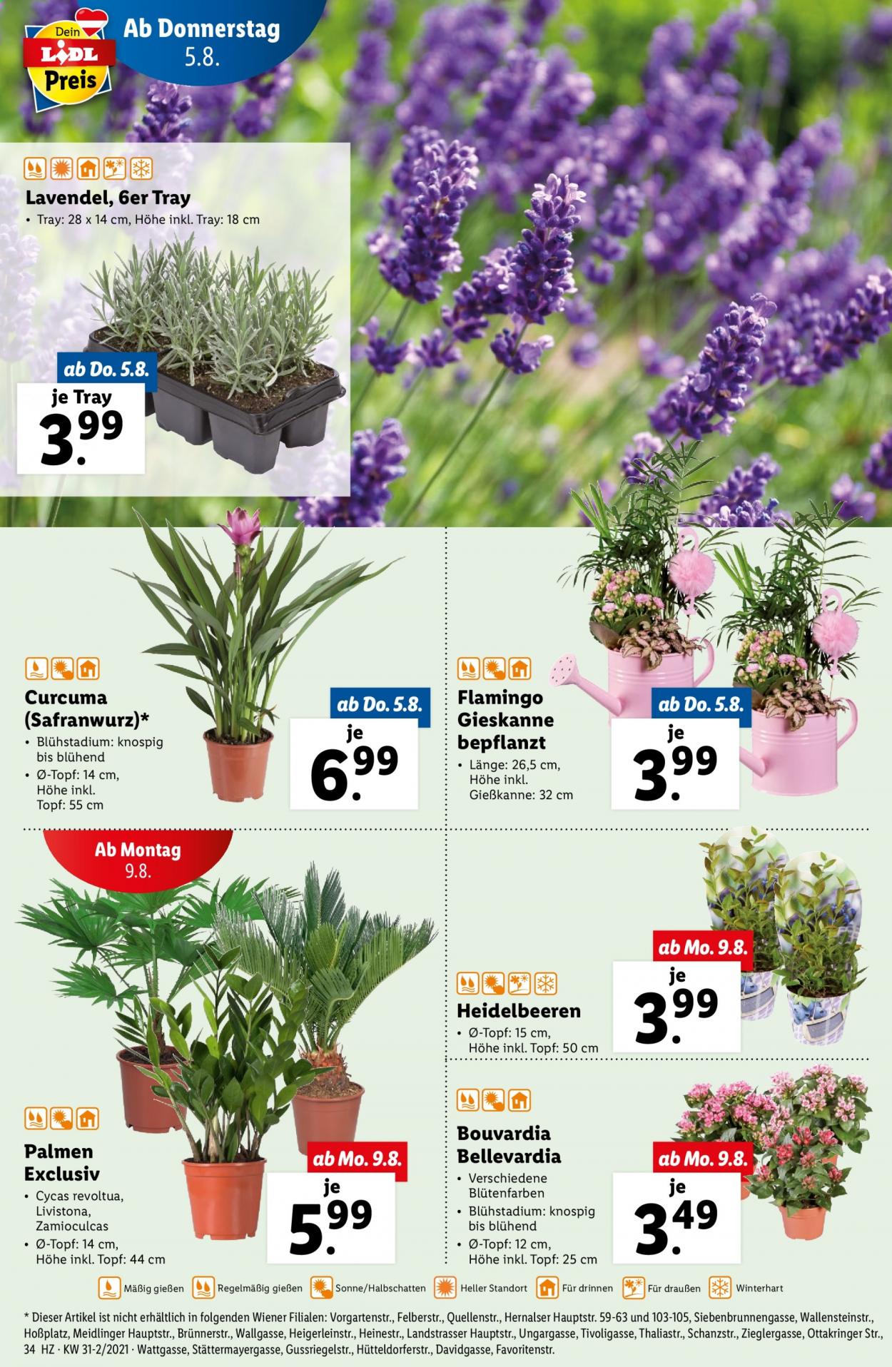 Angebote Lidl - 5.8.2021 - 11.8.2021. Seite 34