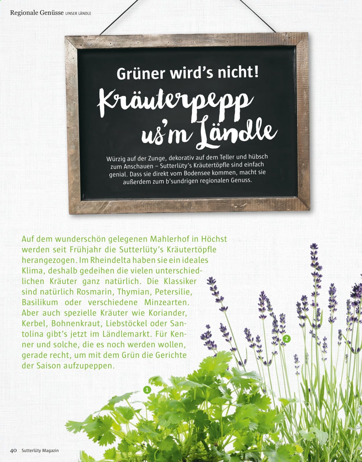 Angebote Sutterlüty. Seite 40