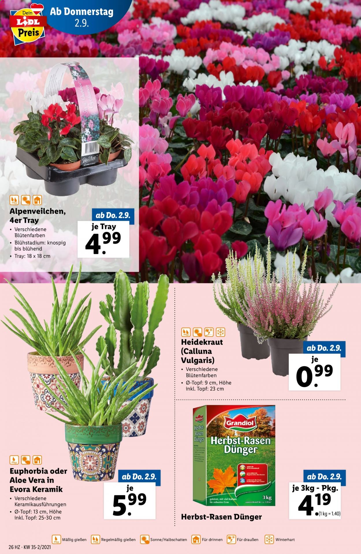Angebote Lidl - 2.9.2021 - 8.9.2021. Seite 26