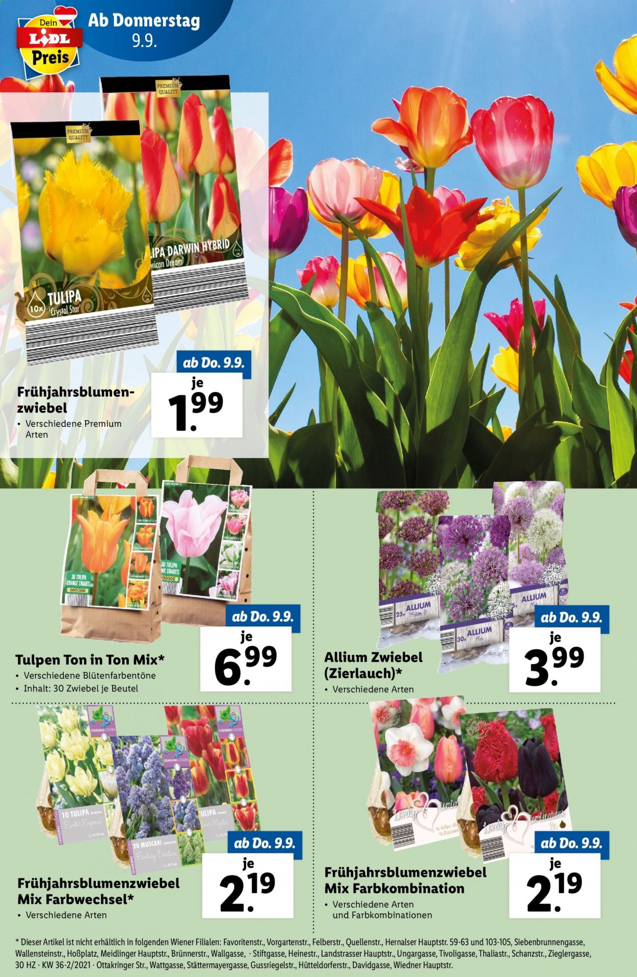 Angebote Lidl - 9.9.2021 - 15.9.2021. Seite 30