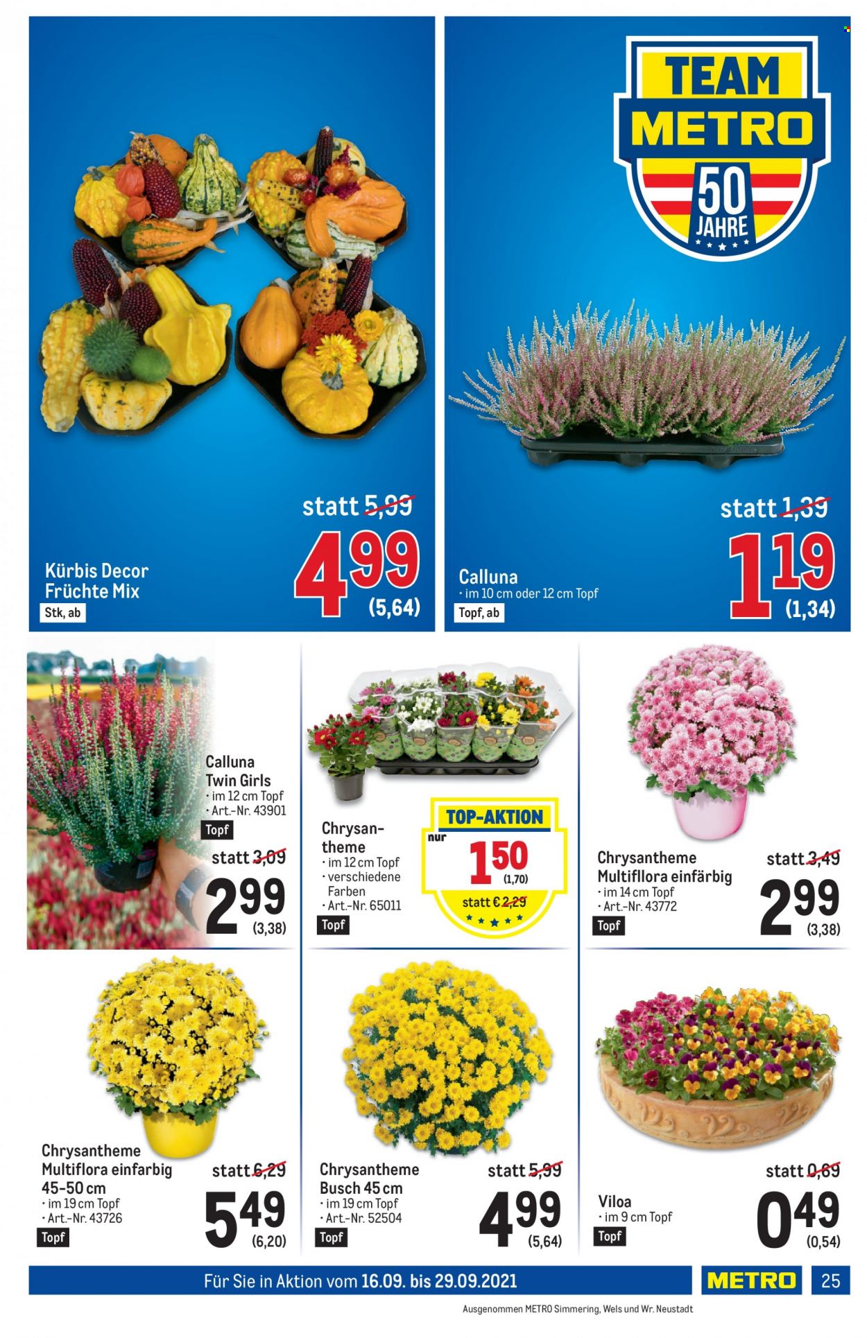 Angebote Metro - 16.9.2021 - 29.9.2021. Seite 25